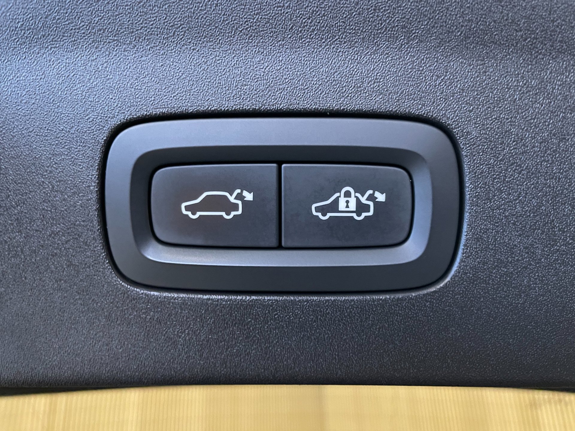 Foto van Polestar Polestar 2