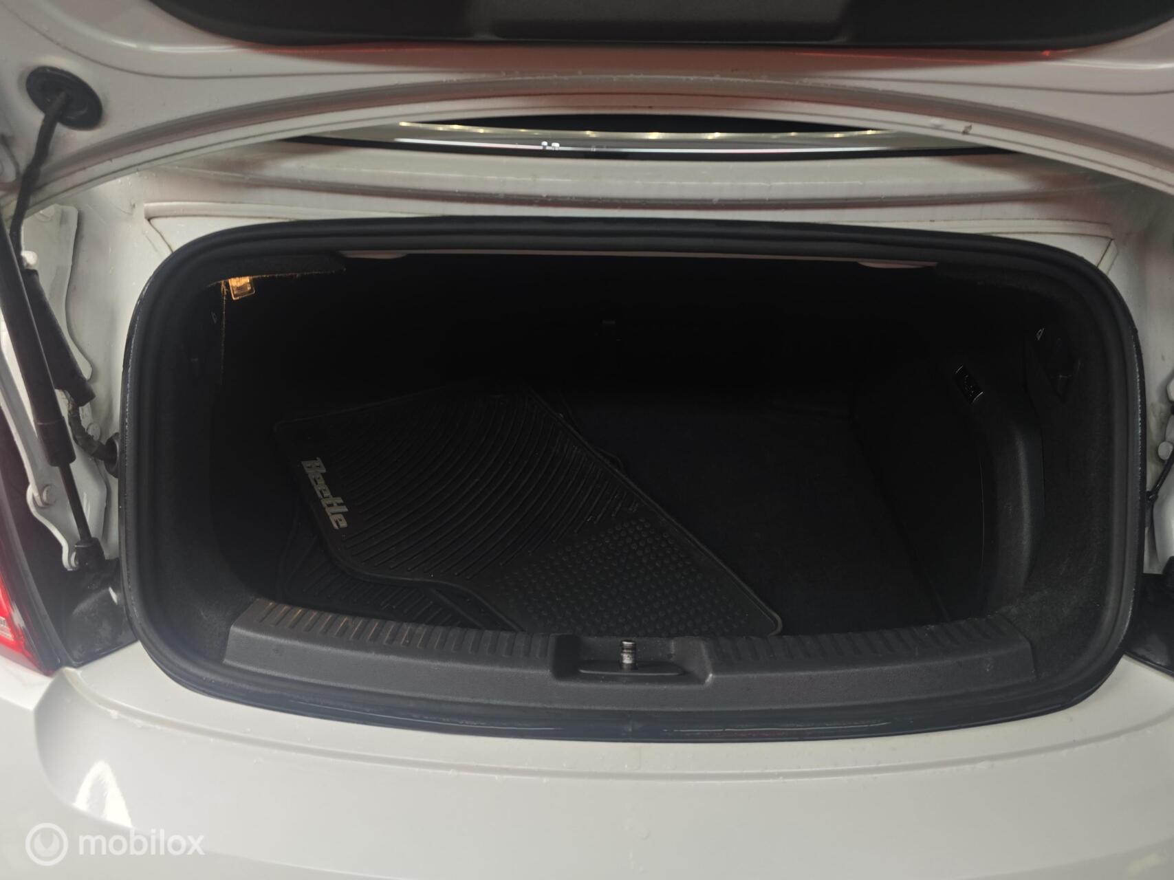 Foto van Volkswagen Beetle