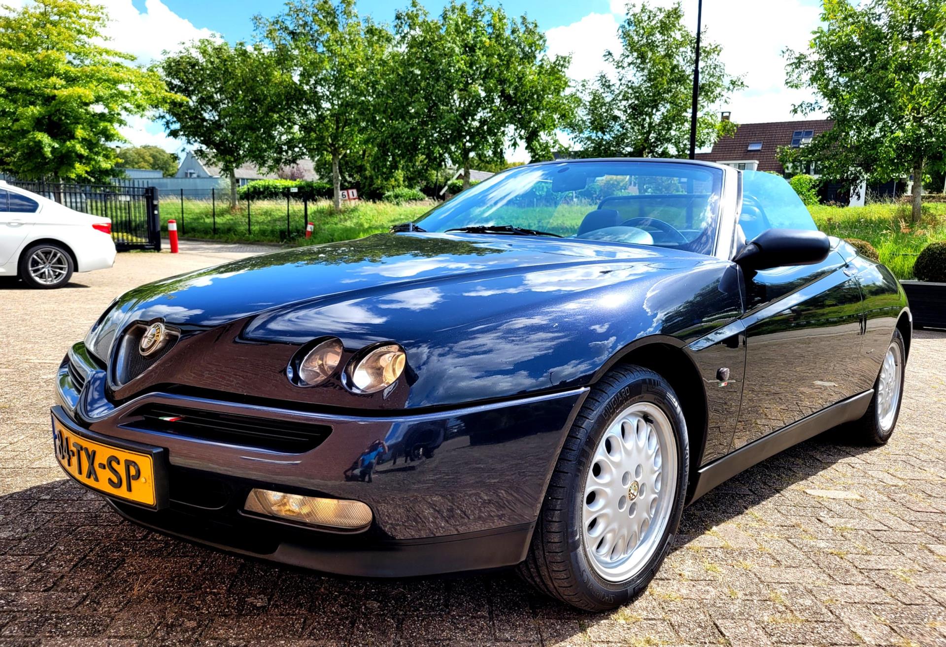 Foto van Alfa Romeo ( Alfa Romeo Spider )