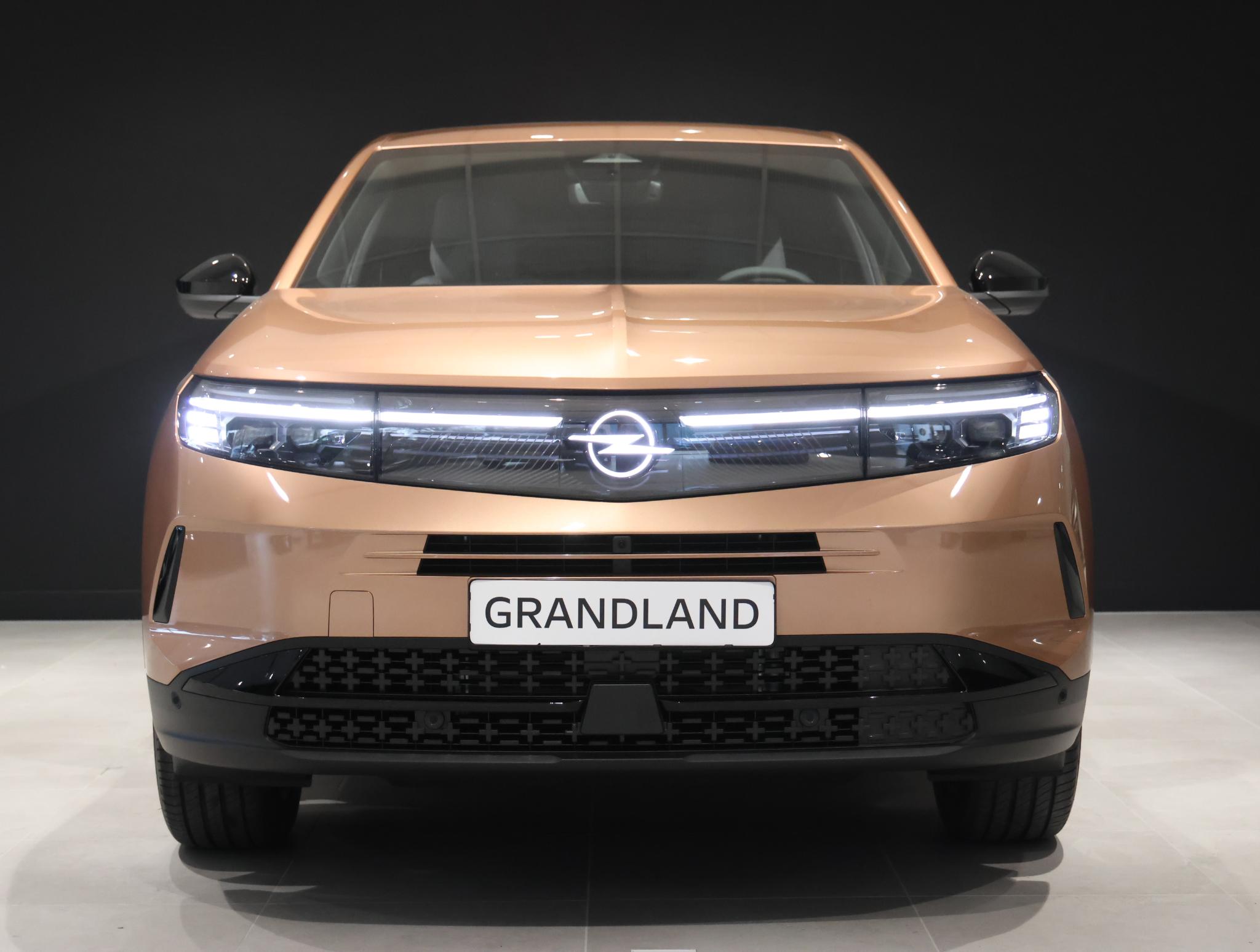 Foto van Opel Grandland
