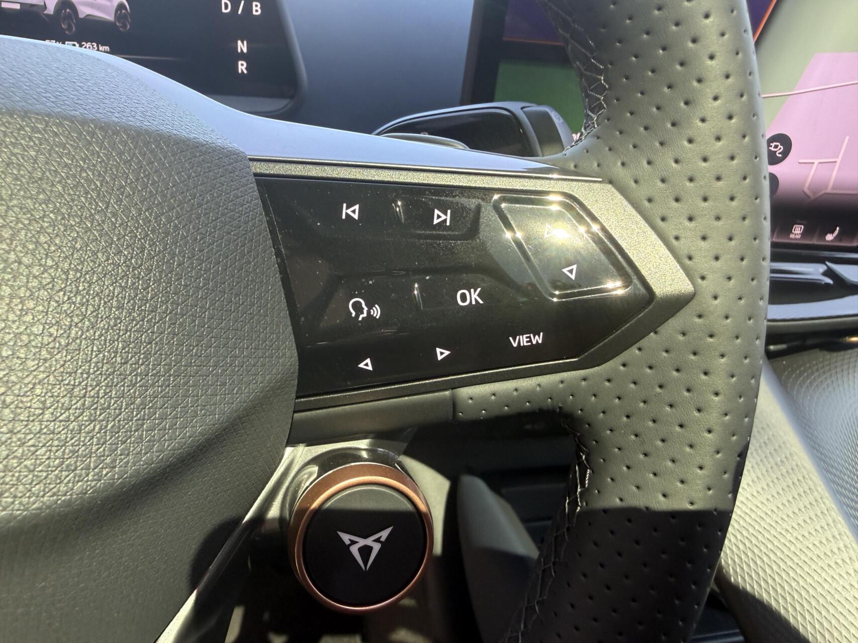 Foto van Cupra Tavascan
