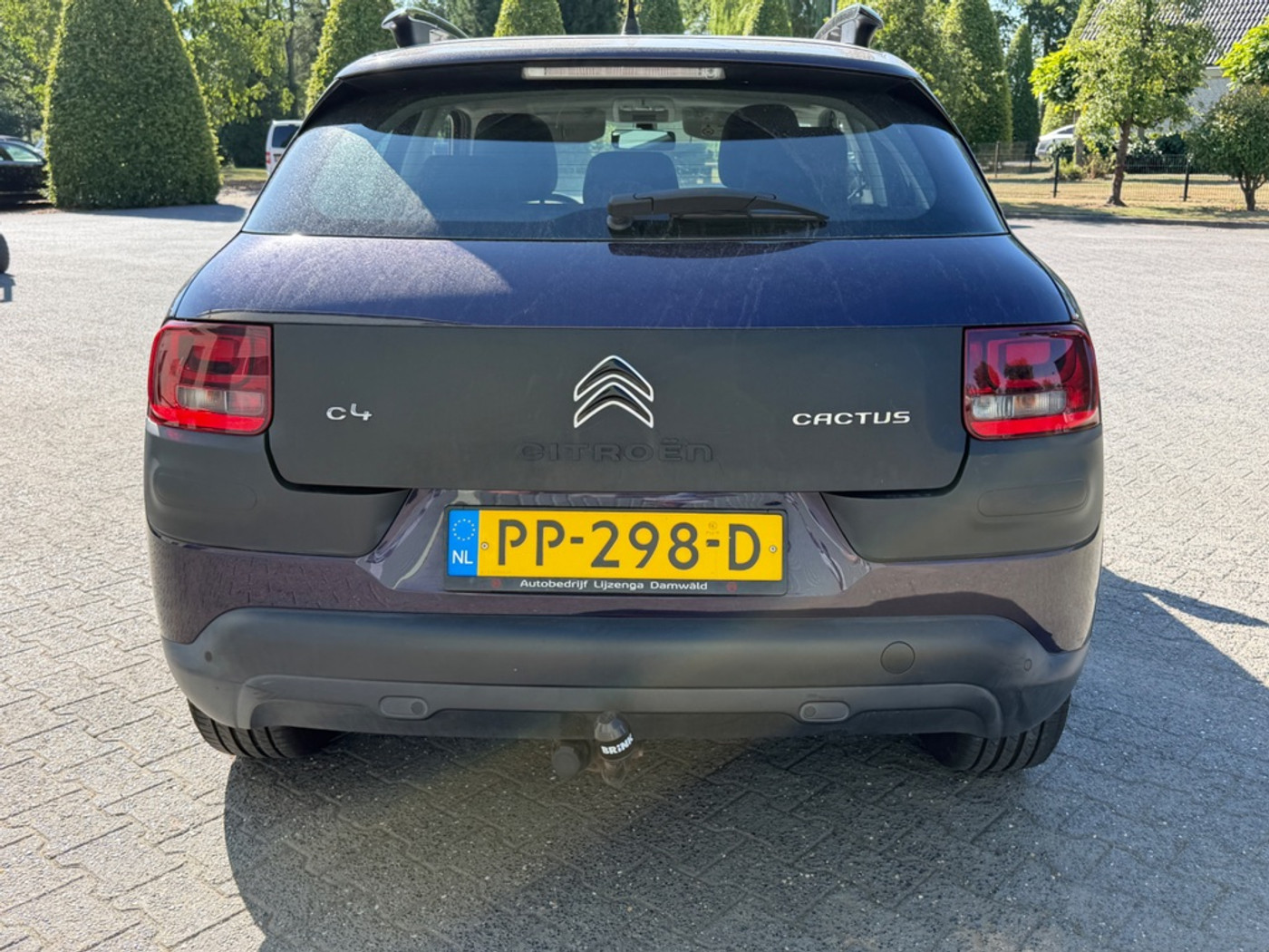 Foto van Citroen C4 Cactus