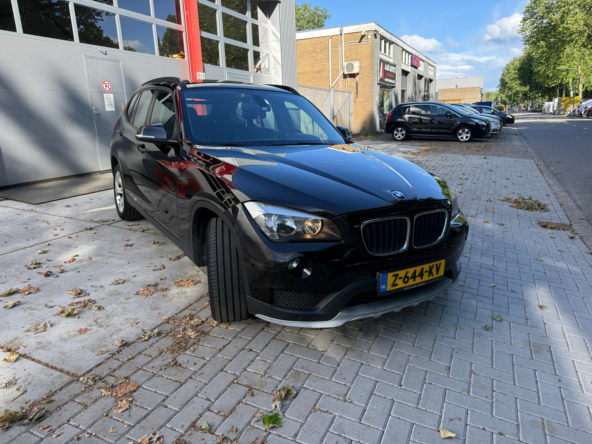 Foto van BMW X1 Xdrive20i