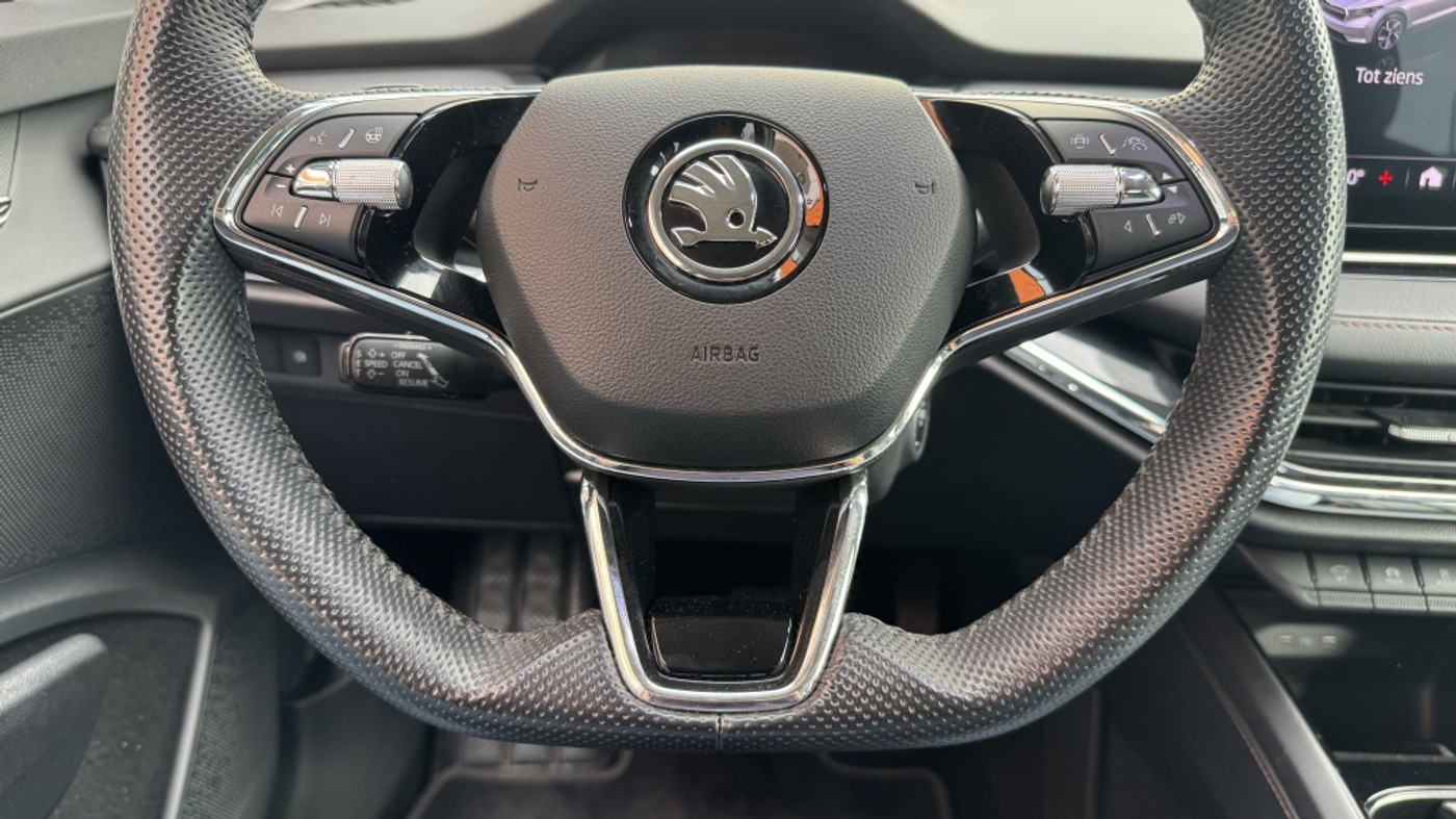 Foto van Skoda Enyaq Iv