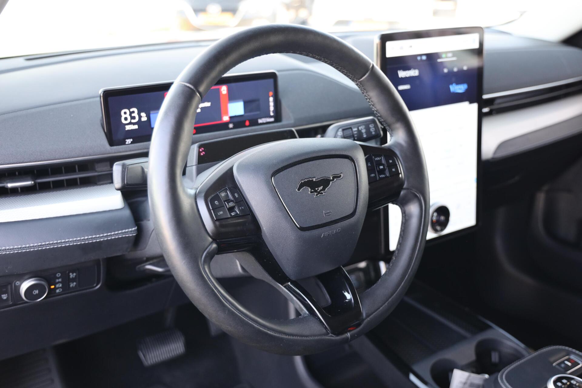 Foto van Ford Mustang Mach-e