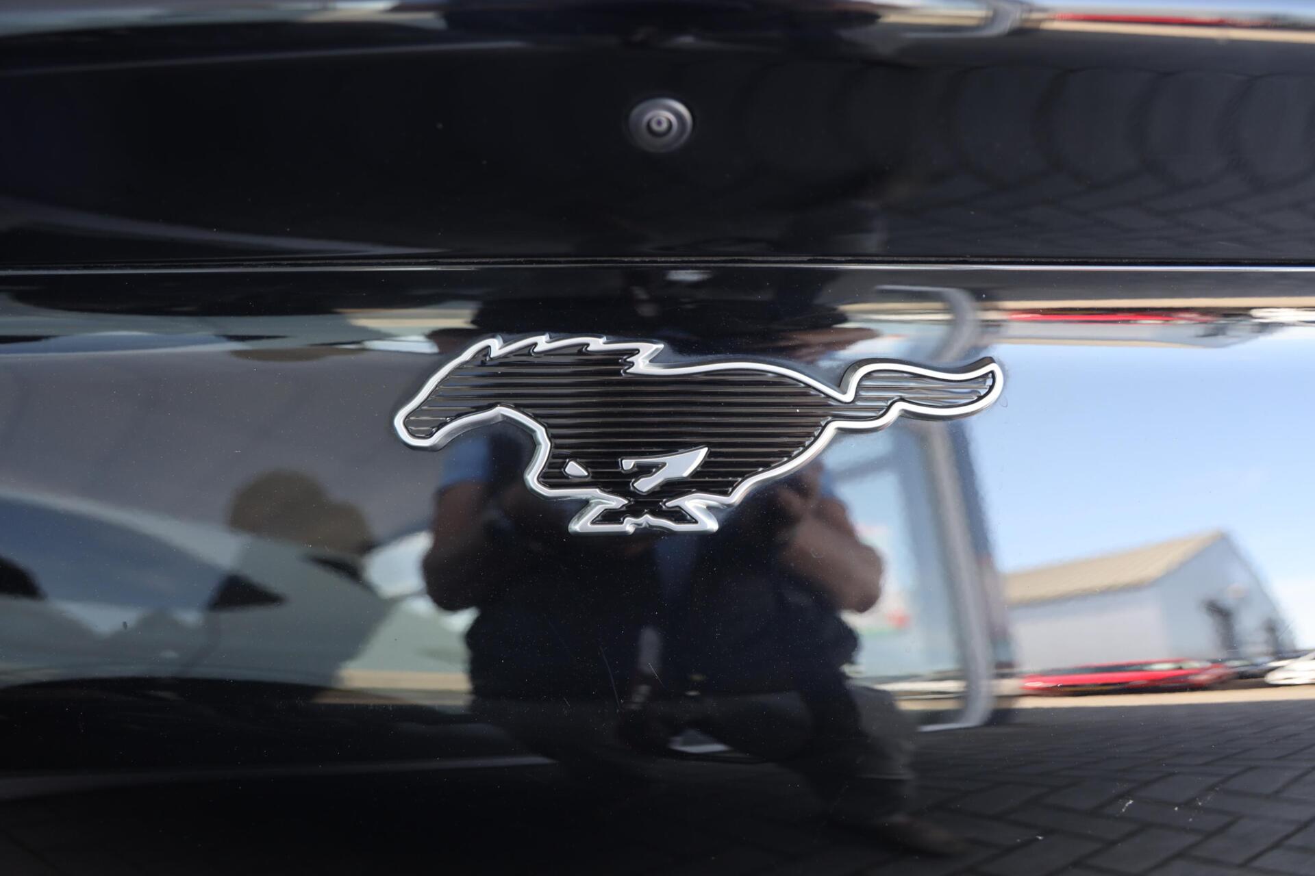 Foto van Ford Mustang Mach-e
