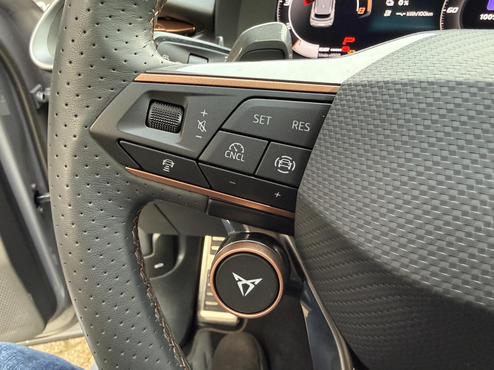 Foto van Cupra Terramar