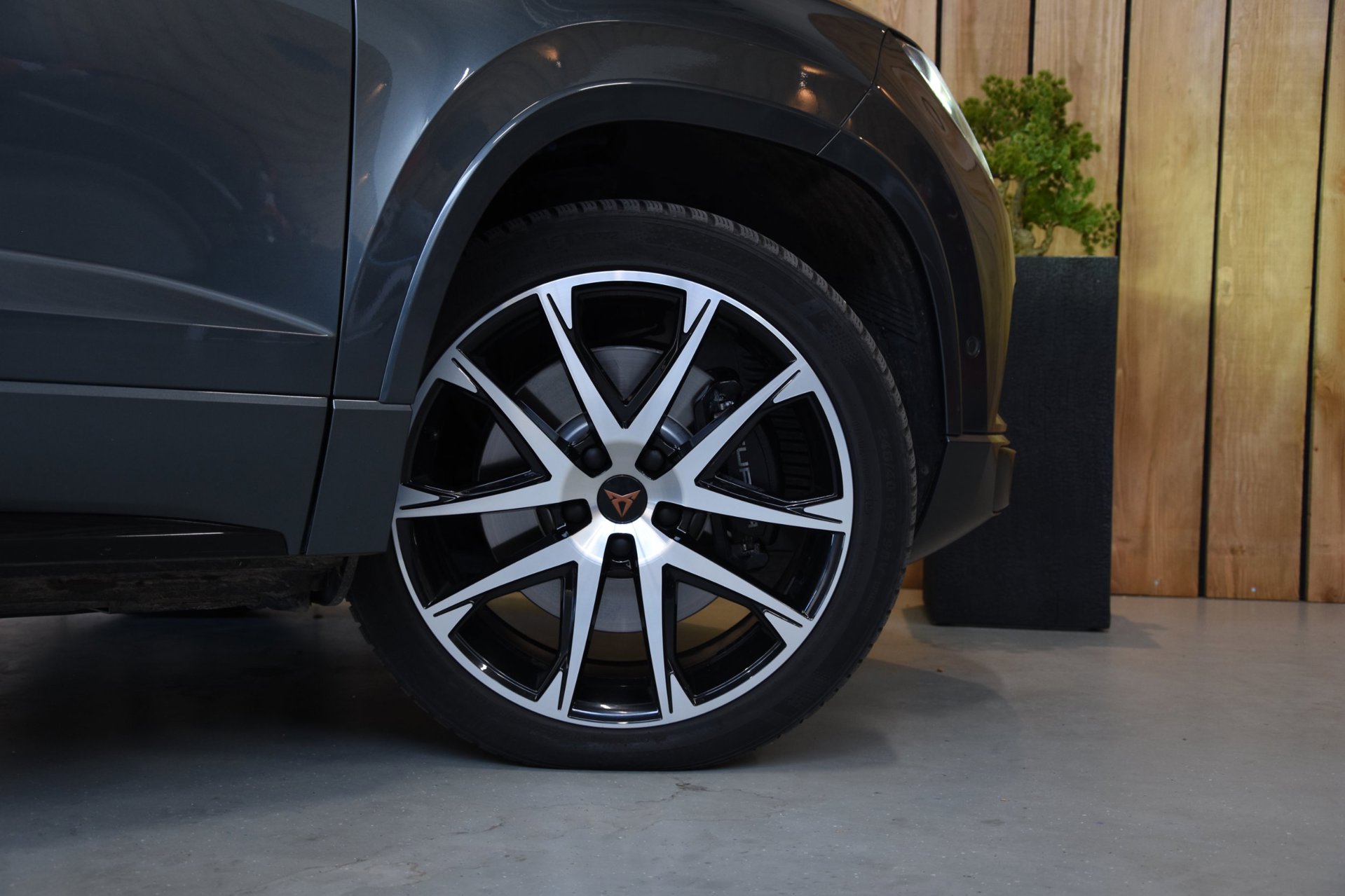 Foto van Cupra Ateca