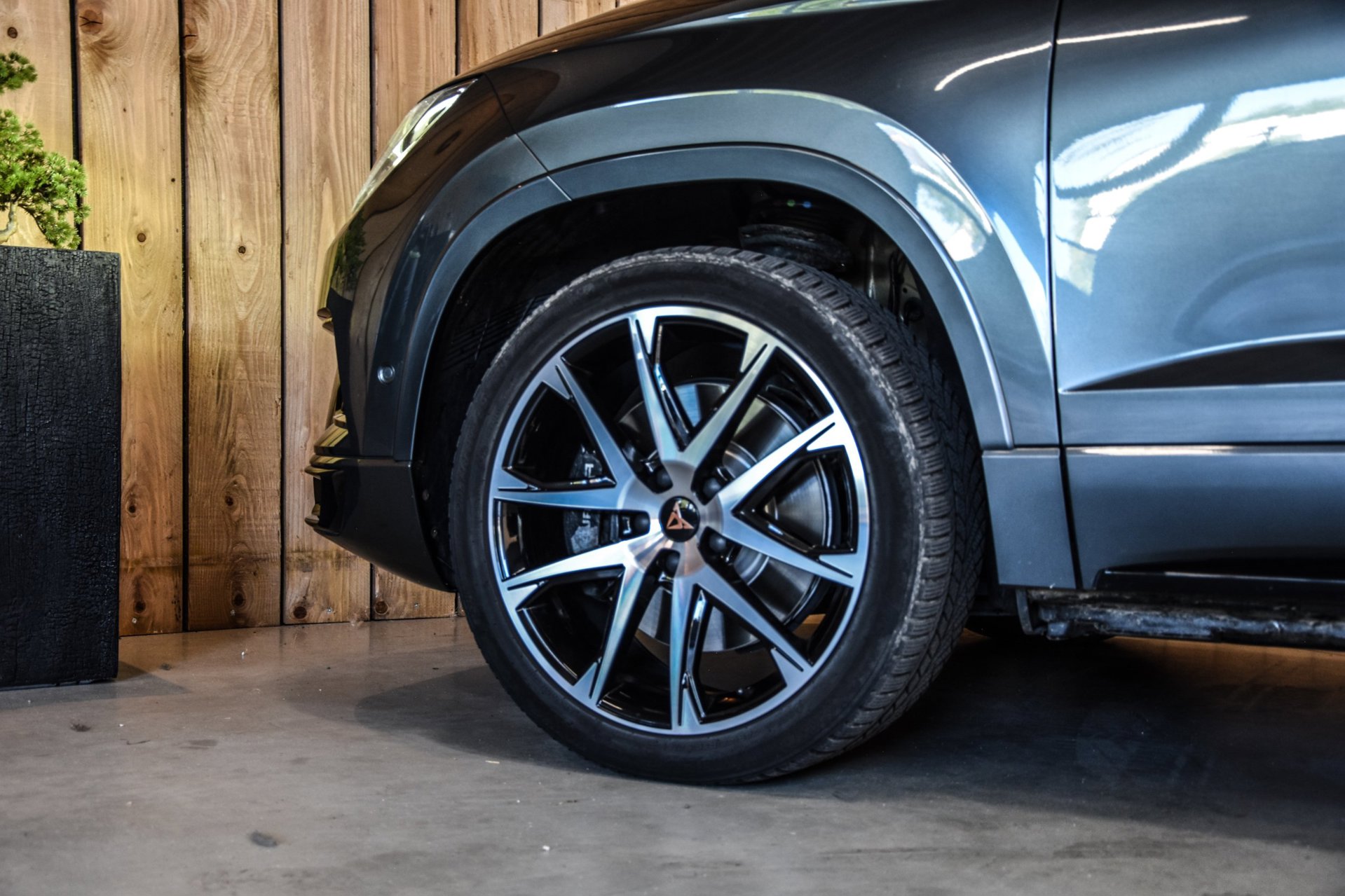 Foto van Cupra Ateca