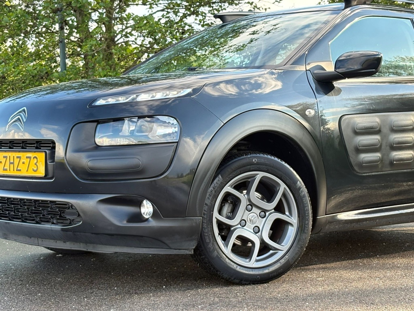 Foto van Citroen C4 Cactus
