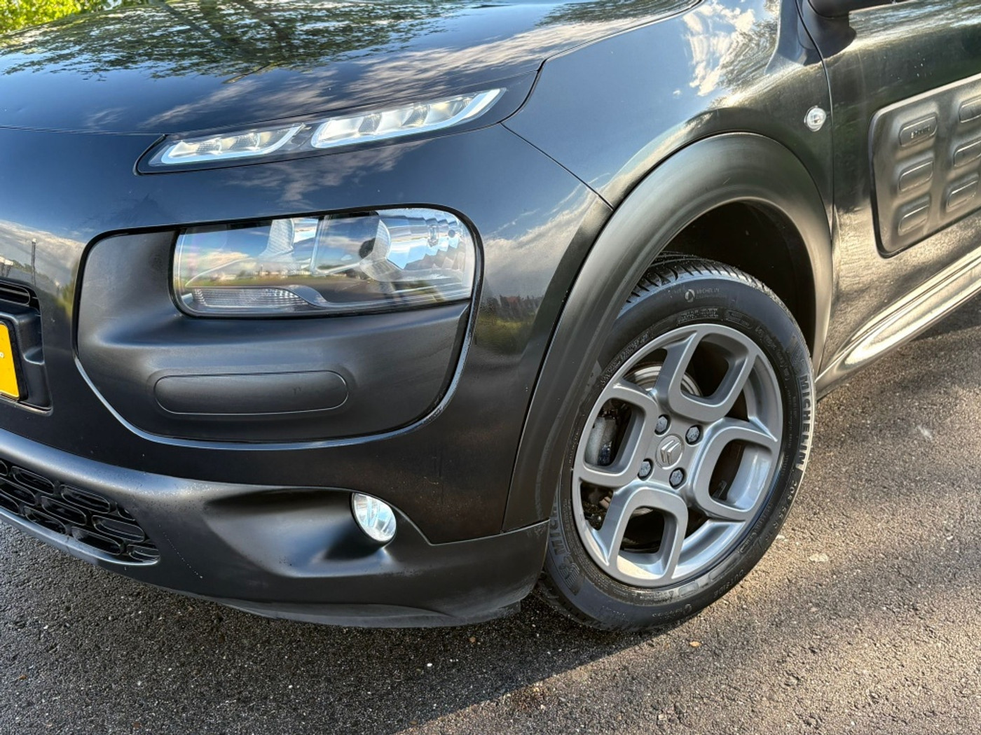 Foto van Citroen C4 Cactus