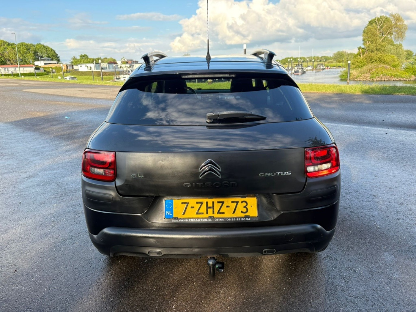 Foto van Citroen C4 Cactus