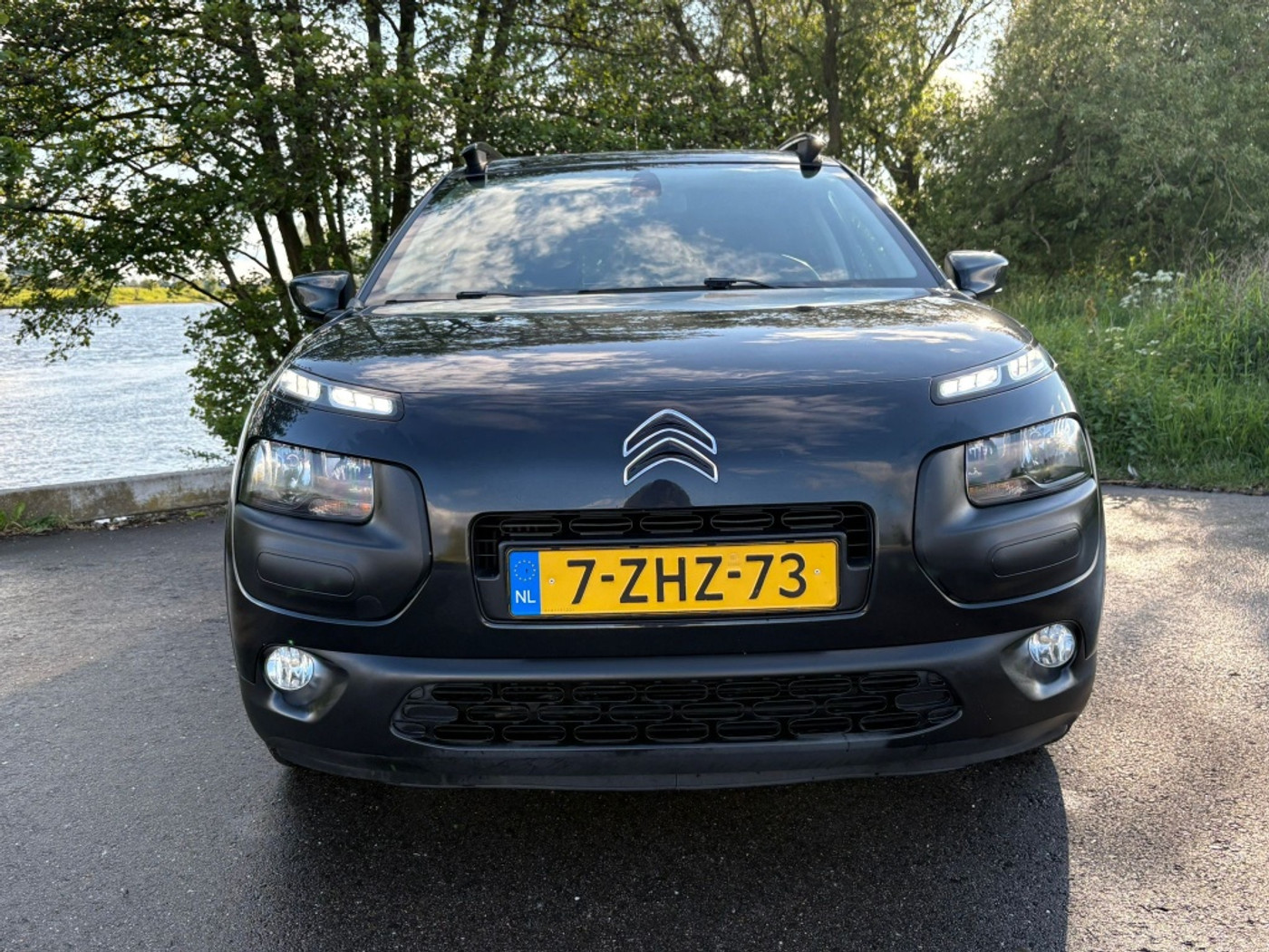 Foto van Citroen C4 Cactus
