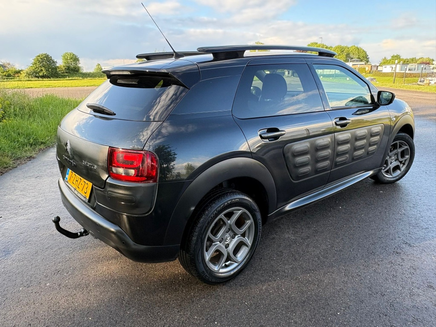 Foto van Citroen C4 Cactus