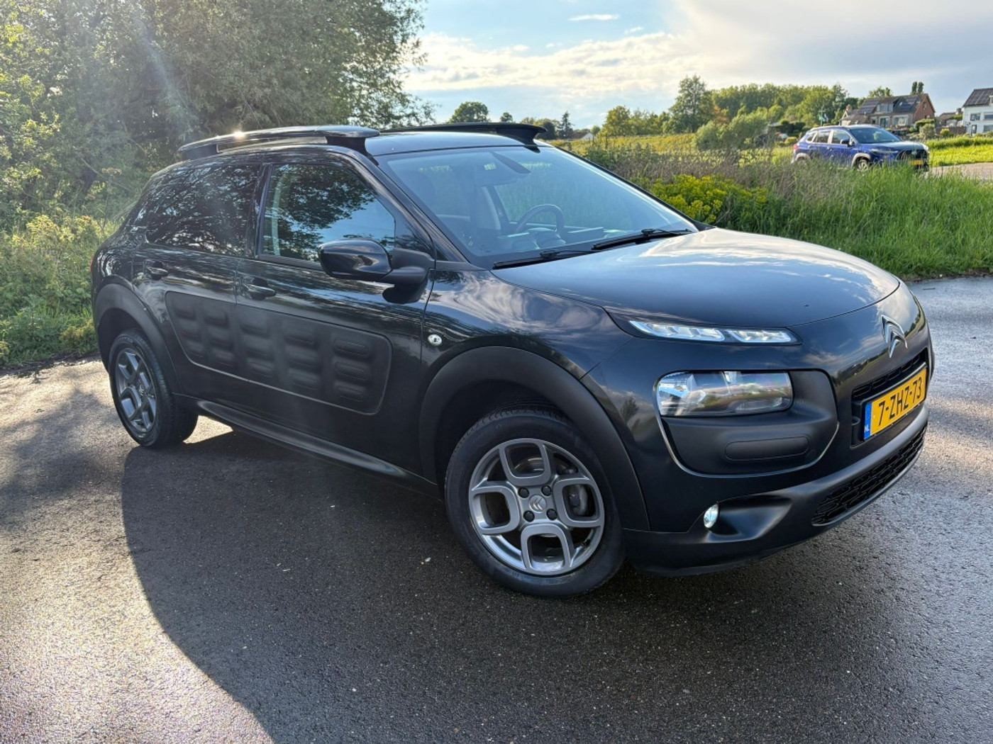 Foto van Citroen C4 Cactus
