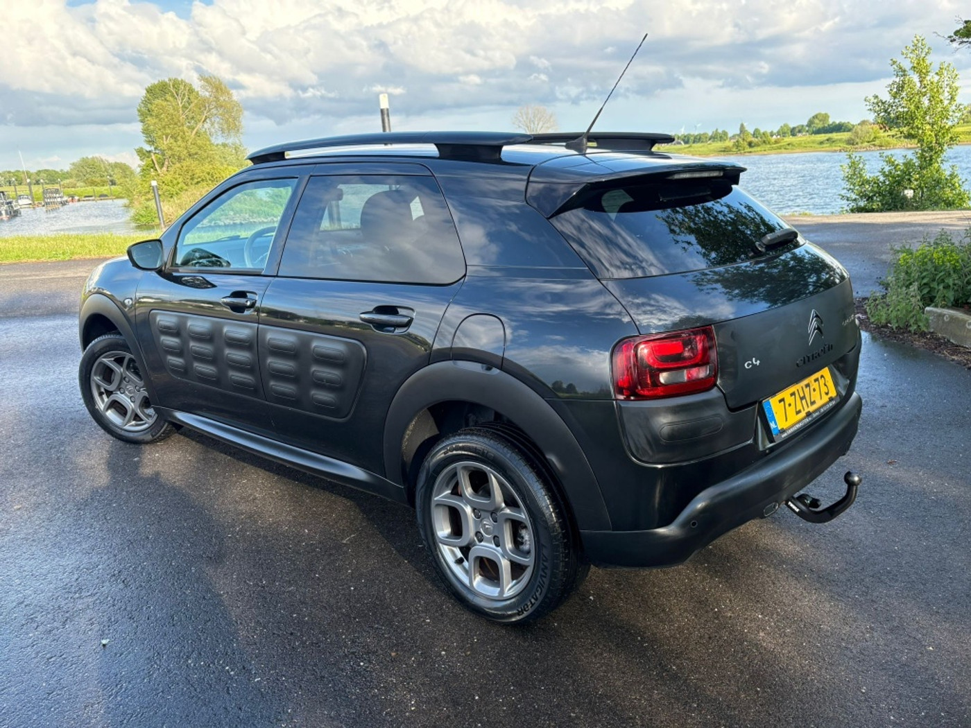 Foto van Citroen C4 Cactus