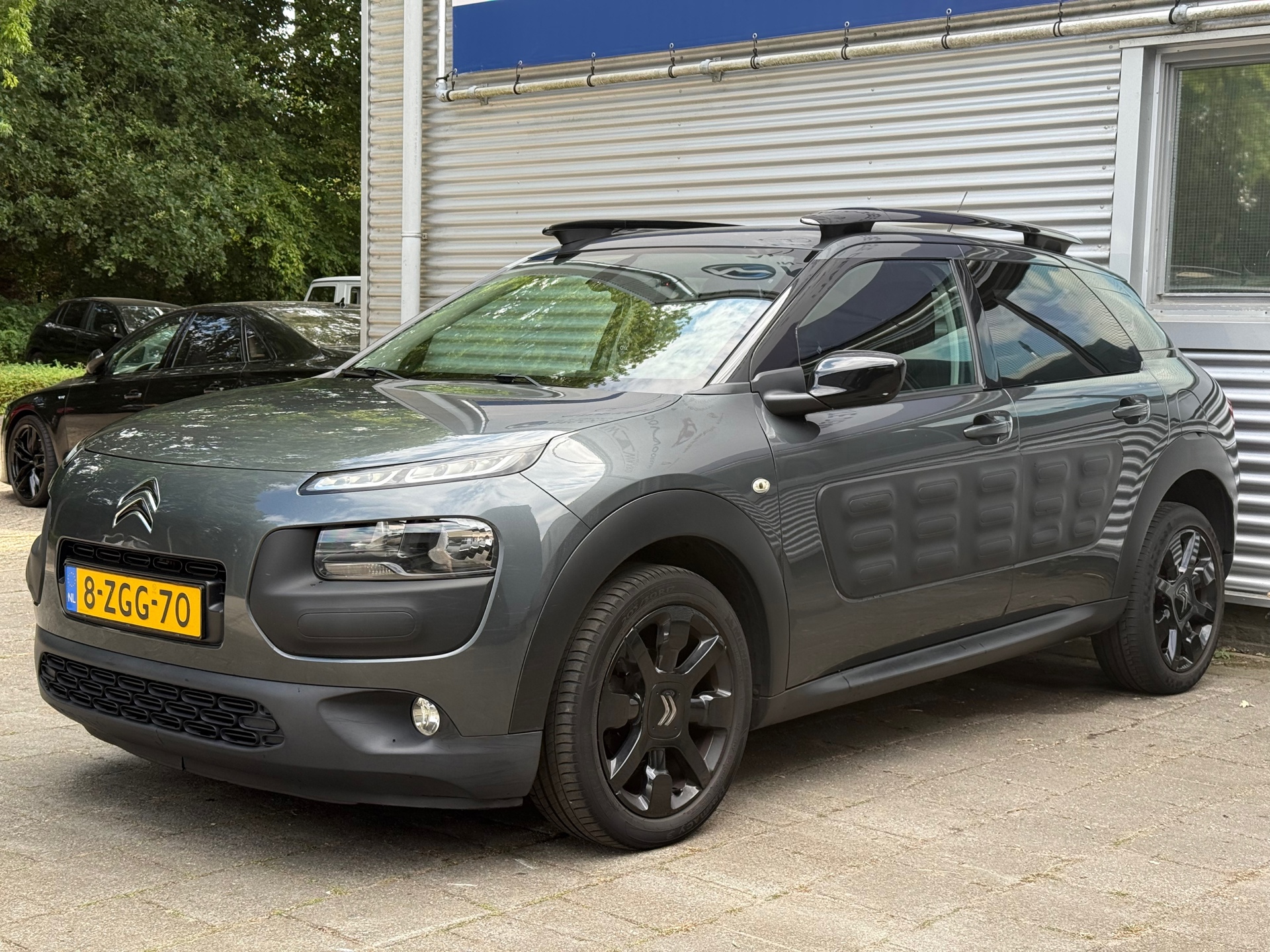 Foto van Citroen C4 Cactus