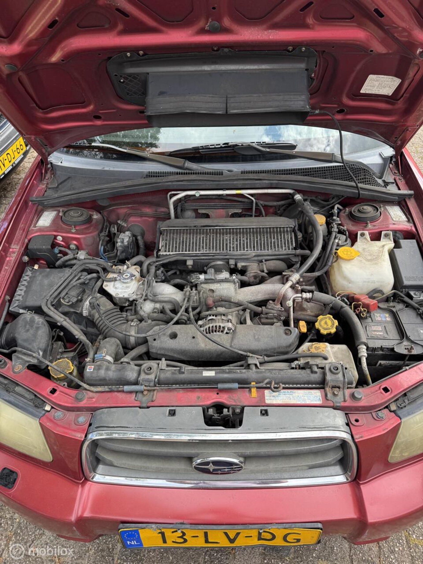 Foto van Subaru Forester