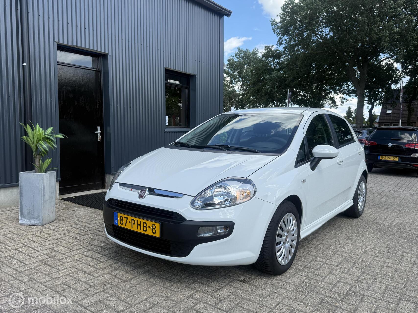 Foto van Fiat Fiat Punto