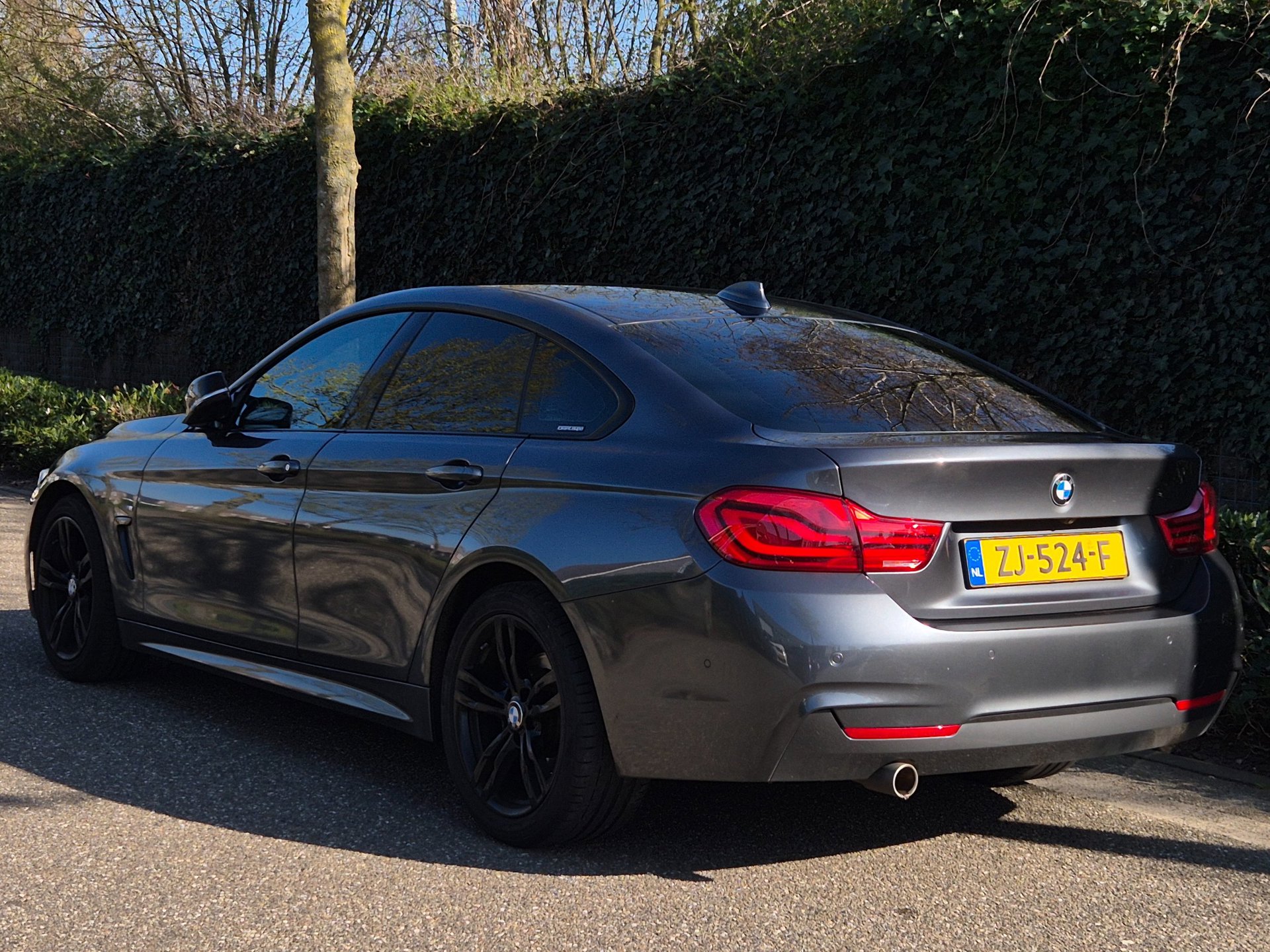 Foto van BMW 4-serie Gran Coupé