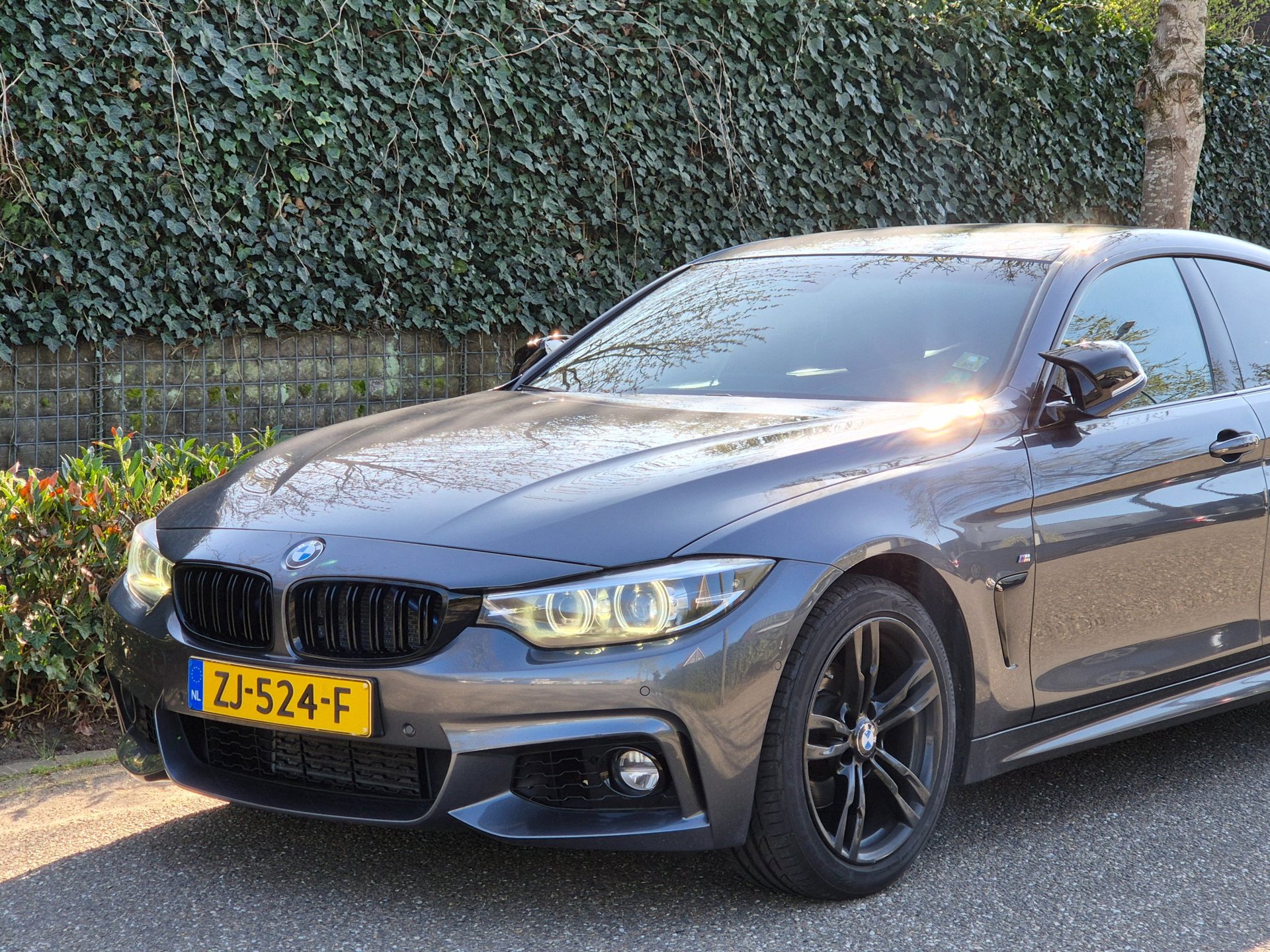 Foto van BMW 4-serie Gran Coupé