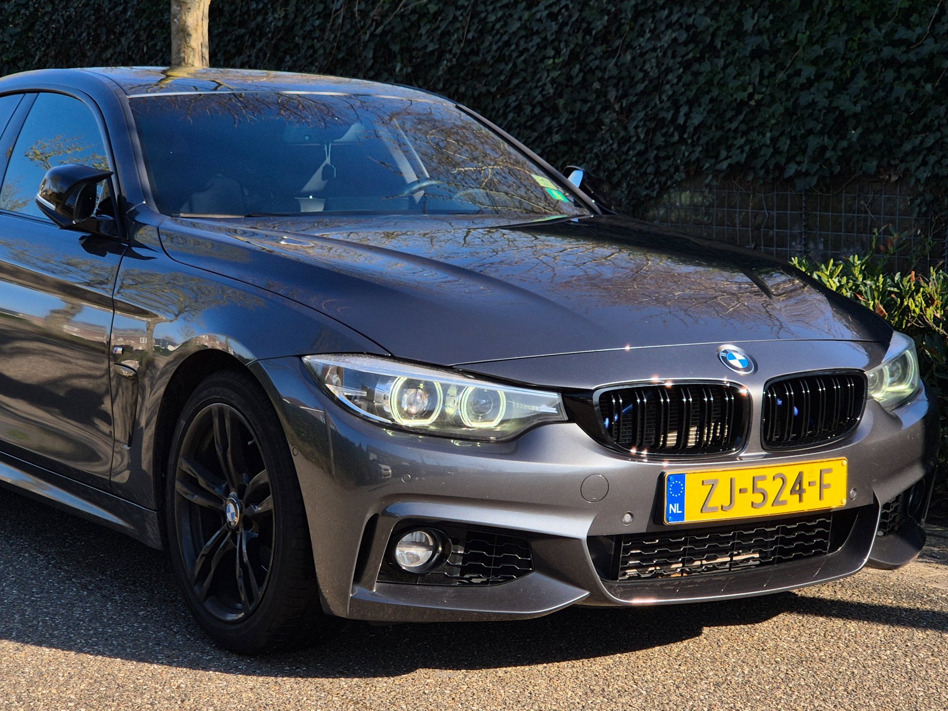 Foto van BMW 4-serie Gran Coupé