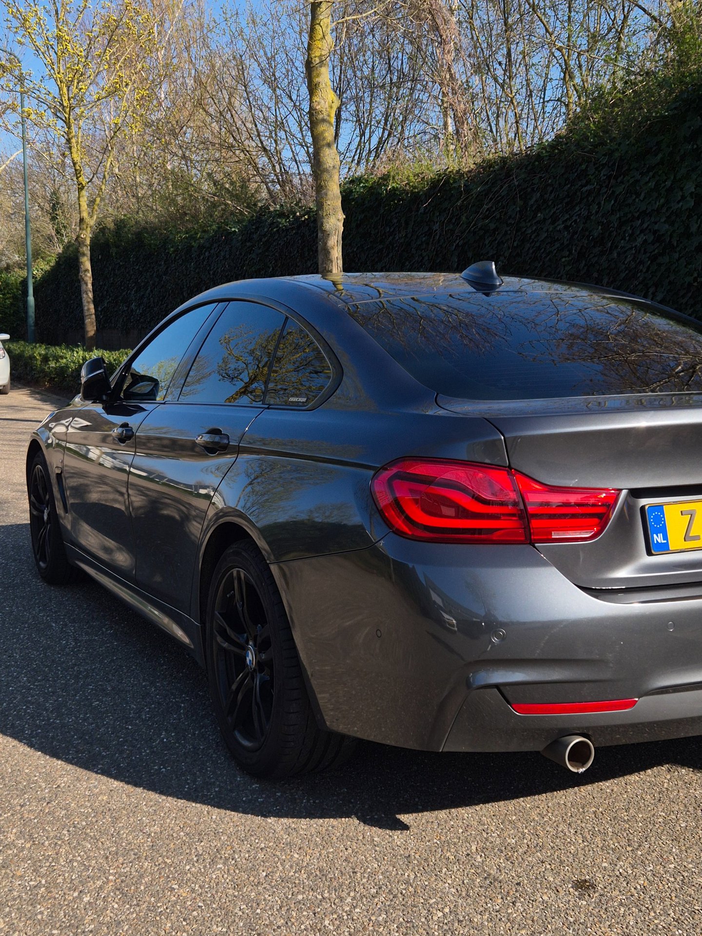 Foto van BMW 4-serie Gran Coupé