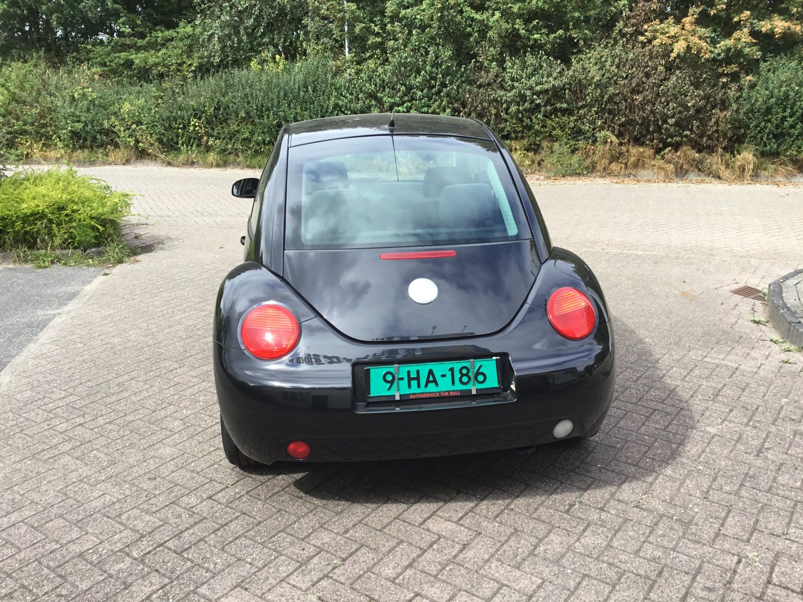 Inspectiefoto van Volkswagen New Beetle
