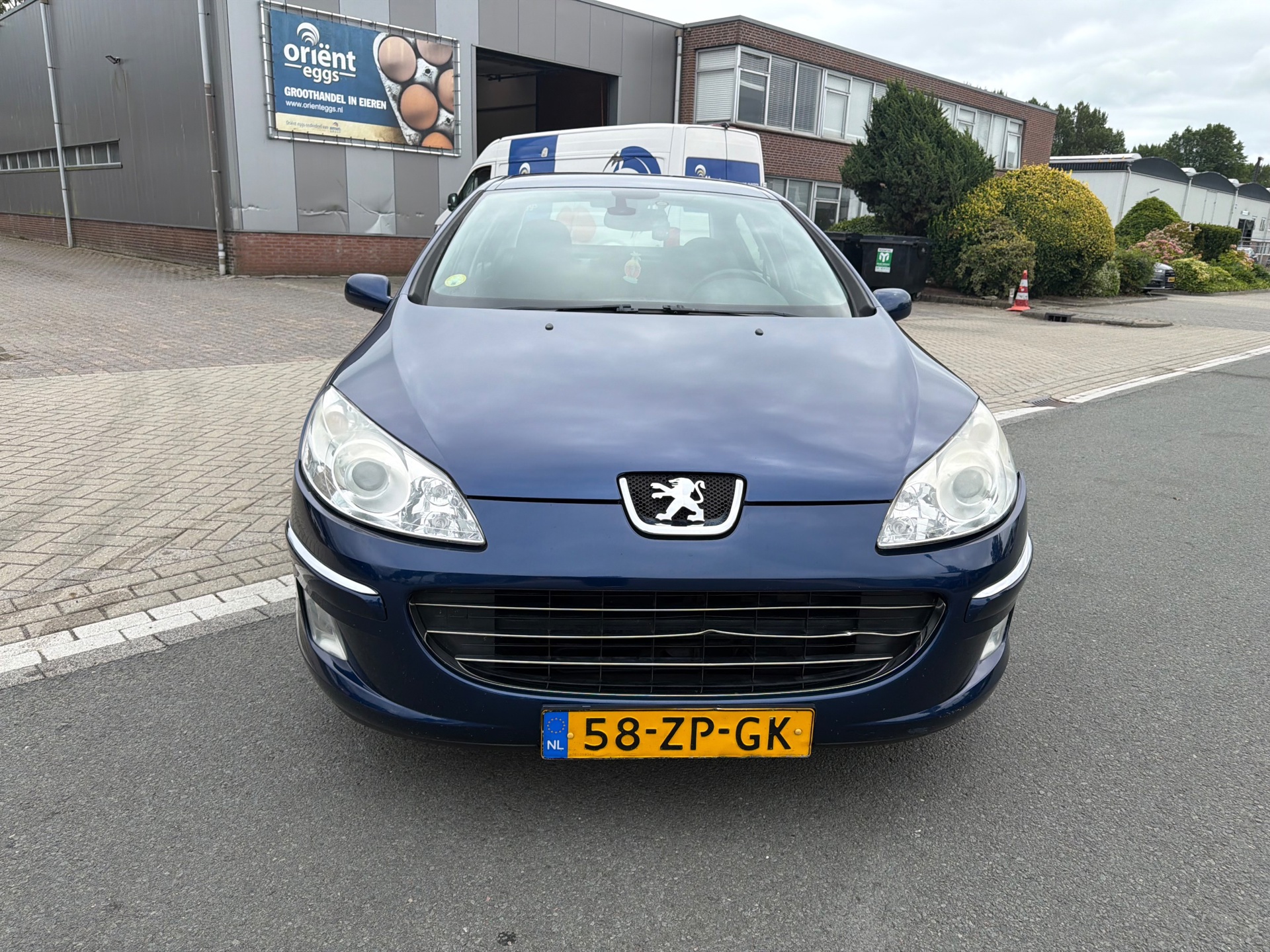 Foto van Peugeot 407