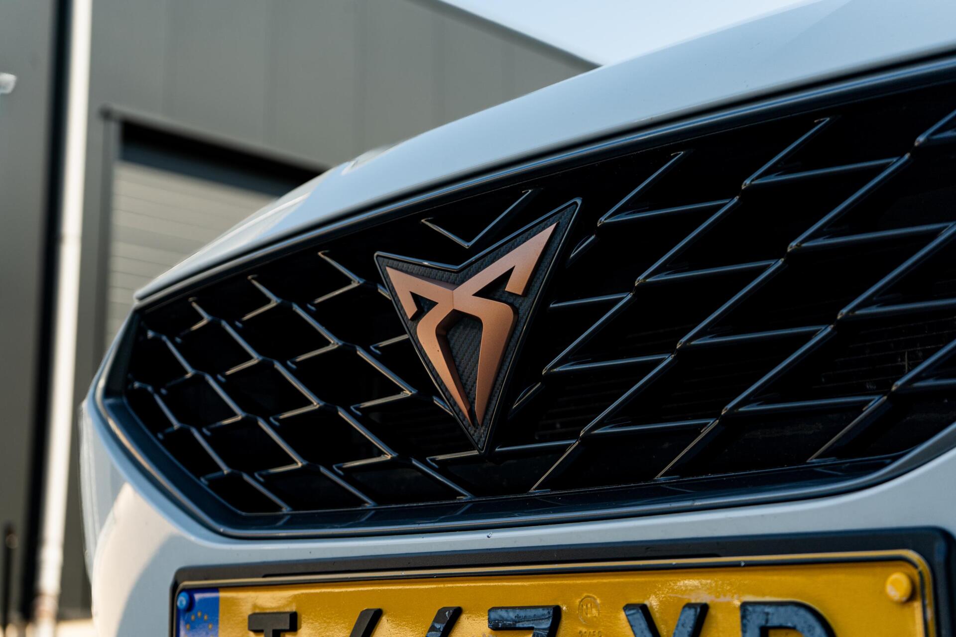 Foto van Cupra Leon Sportstourer