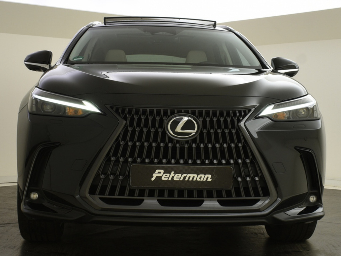 Foto van Lexus Lexus Nx450h+