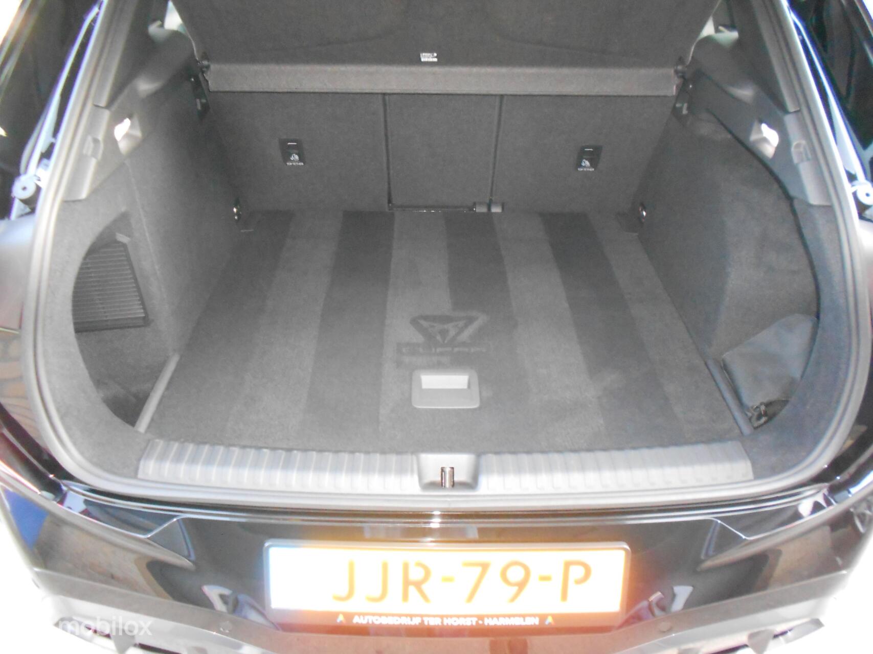 Foto van Cupra Terramar E-hybrid