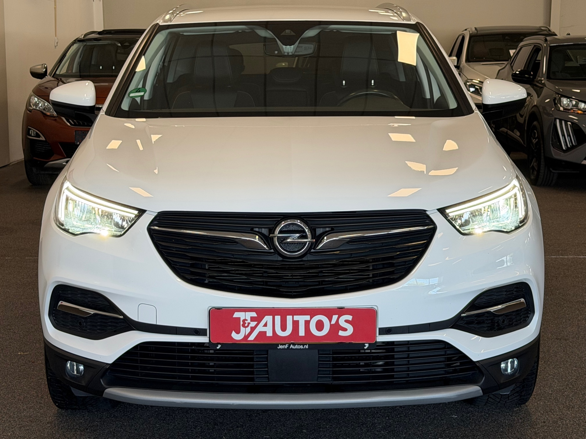 Foto van Opel Grandland X
