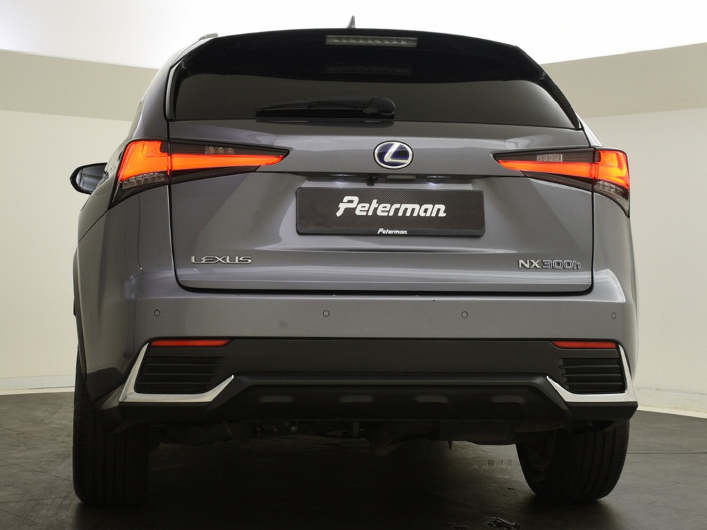 Foto van Lexus NX