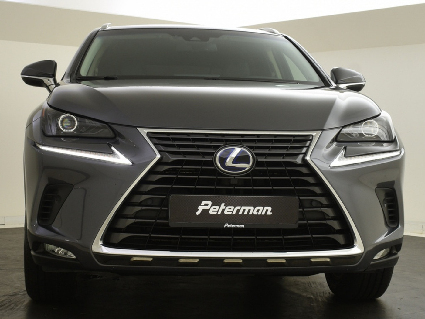 Foto van Lexus NX