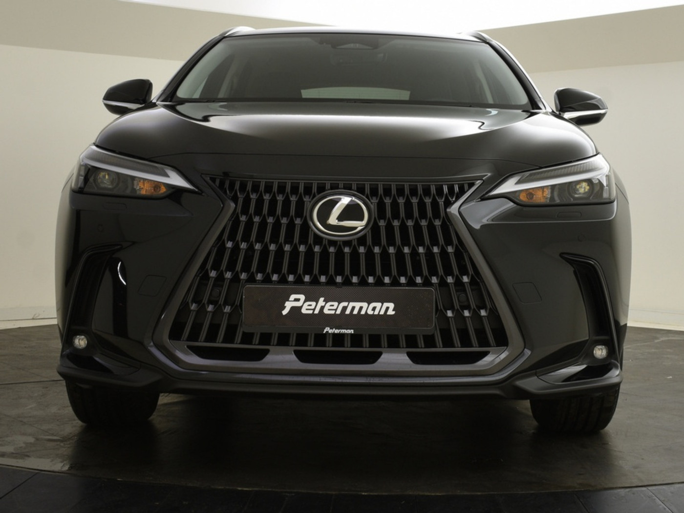 Foto van Lexus Lexus Nx450h+