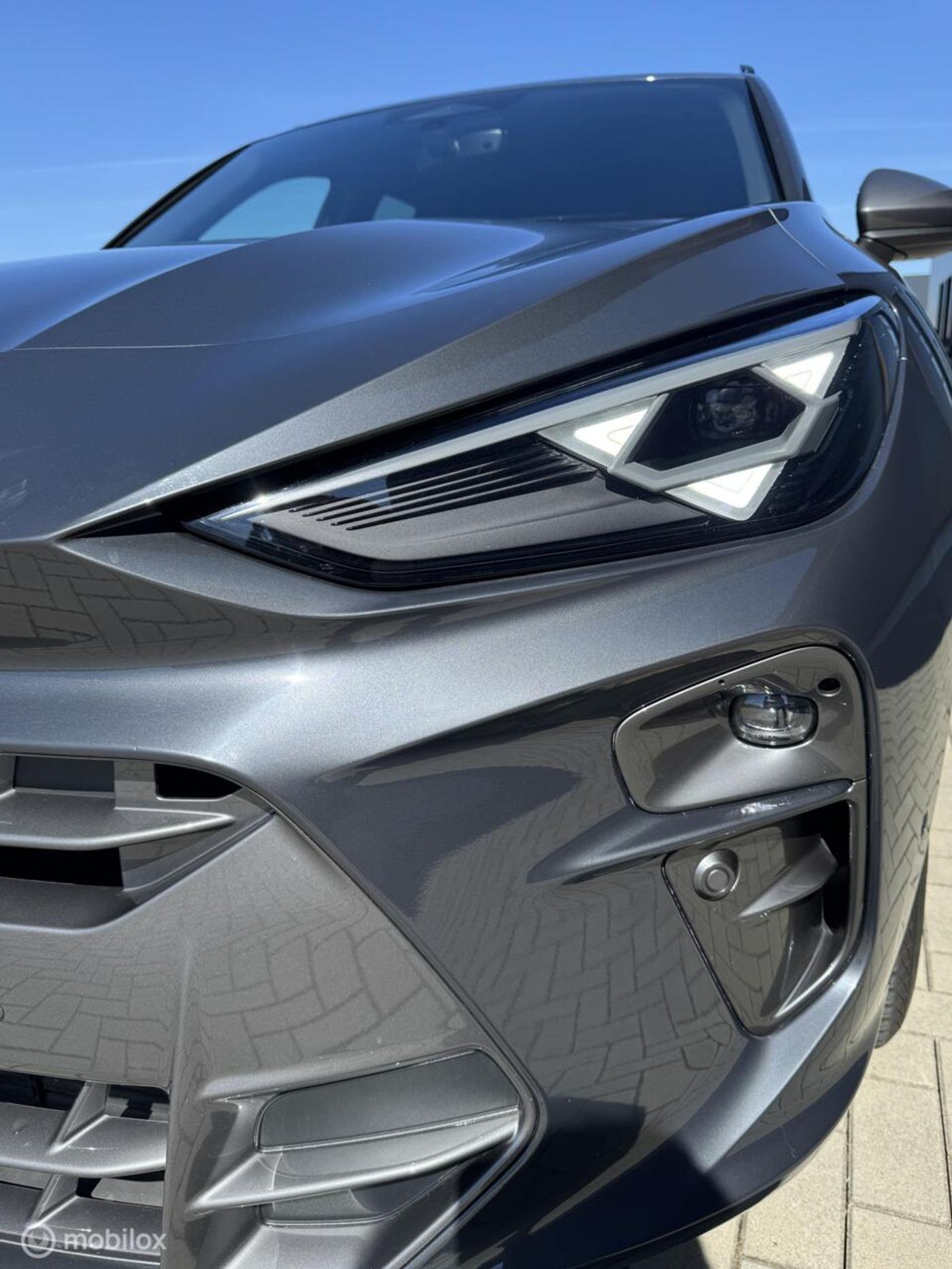 Foto van Cupra Terramar