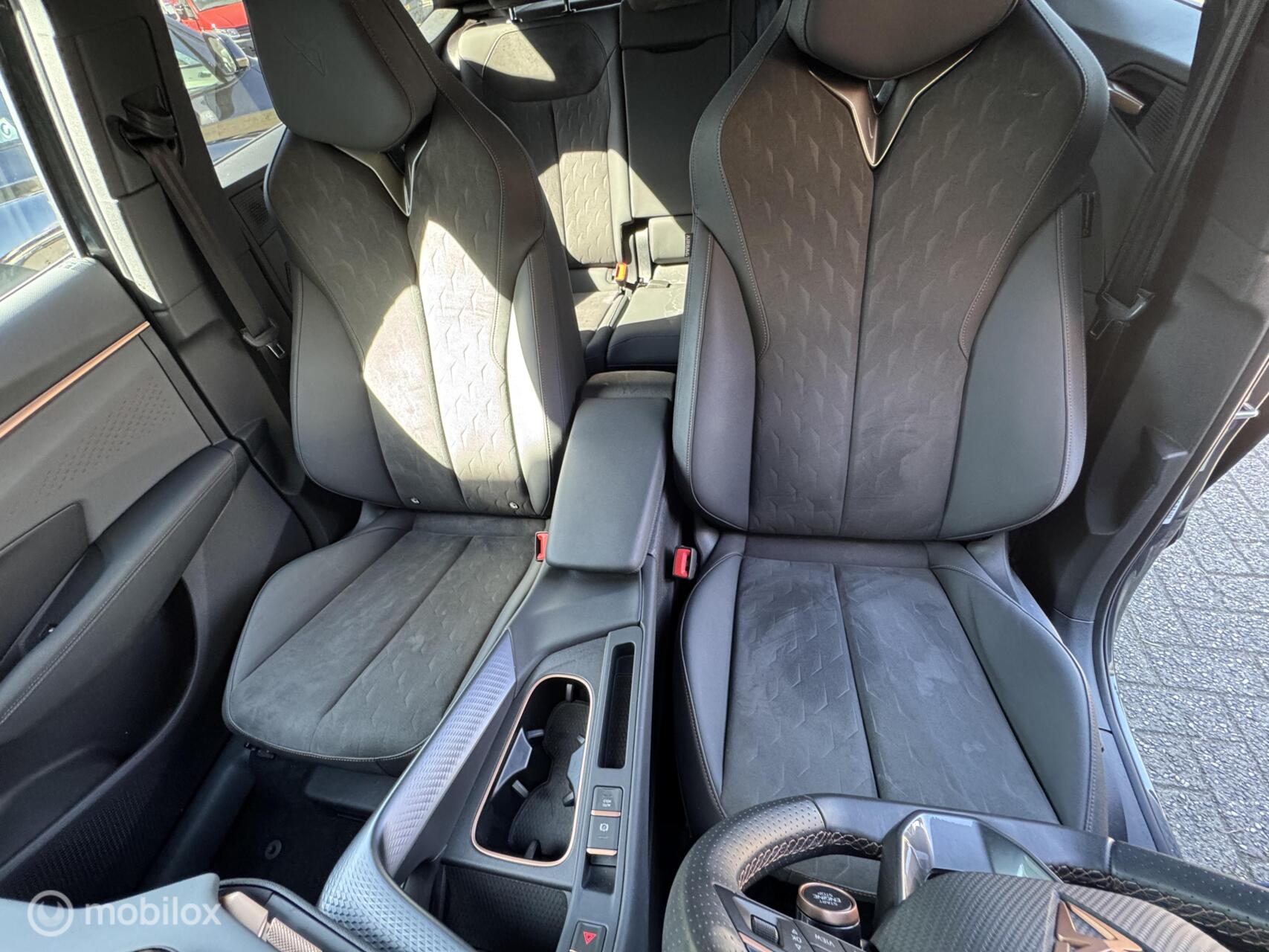 Foto van Cupra Terramar