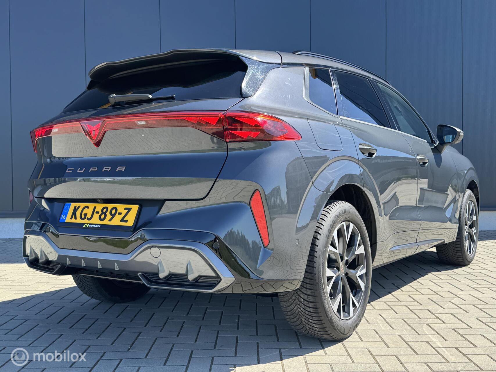 Foto van Cupra Terramar
