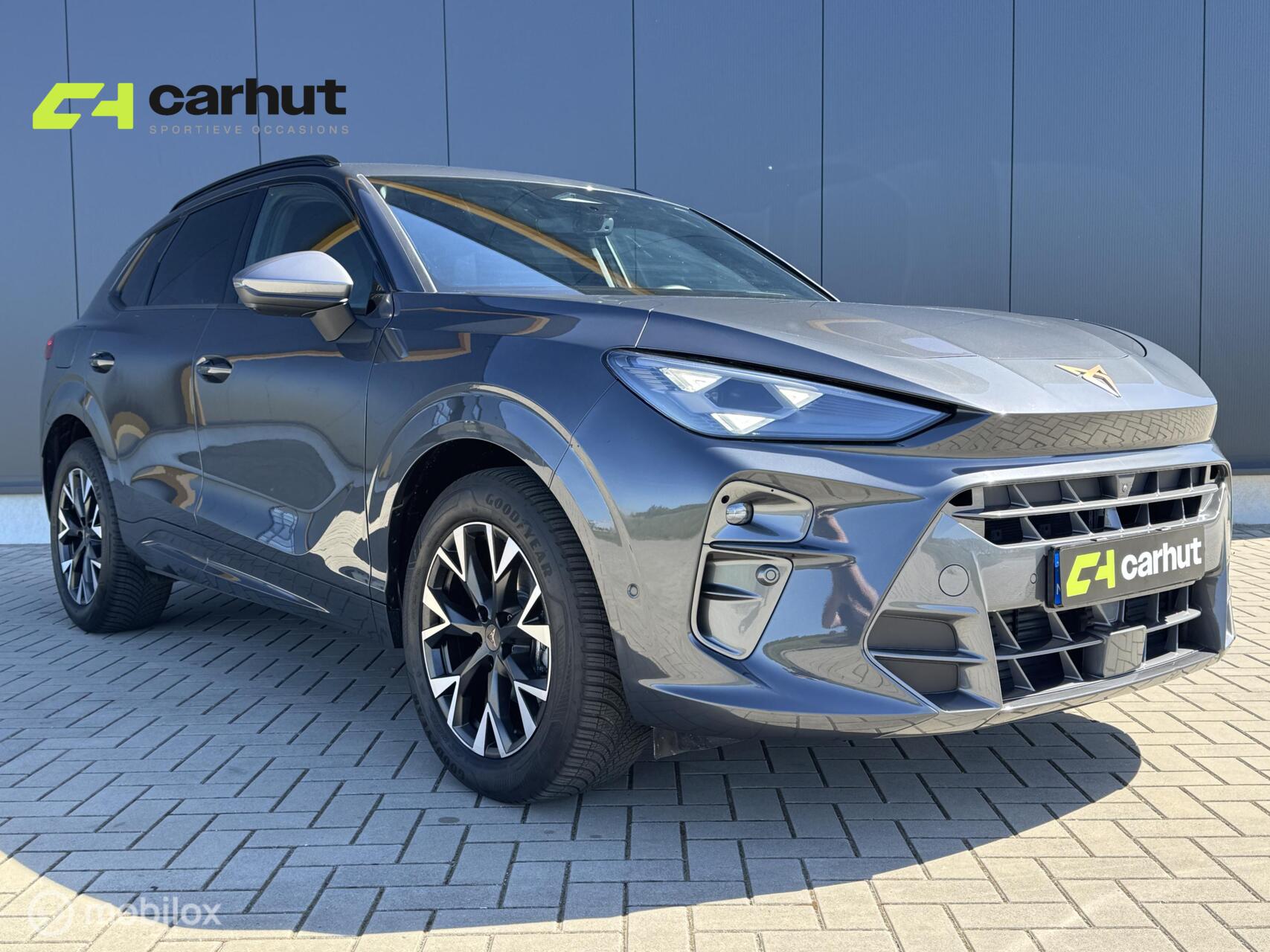 Foto van Cupra Terramar