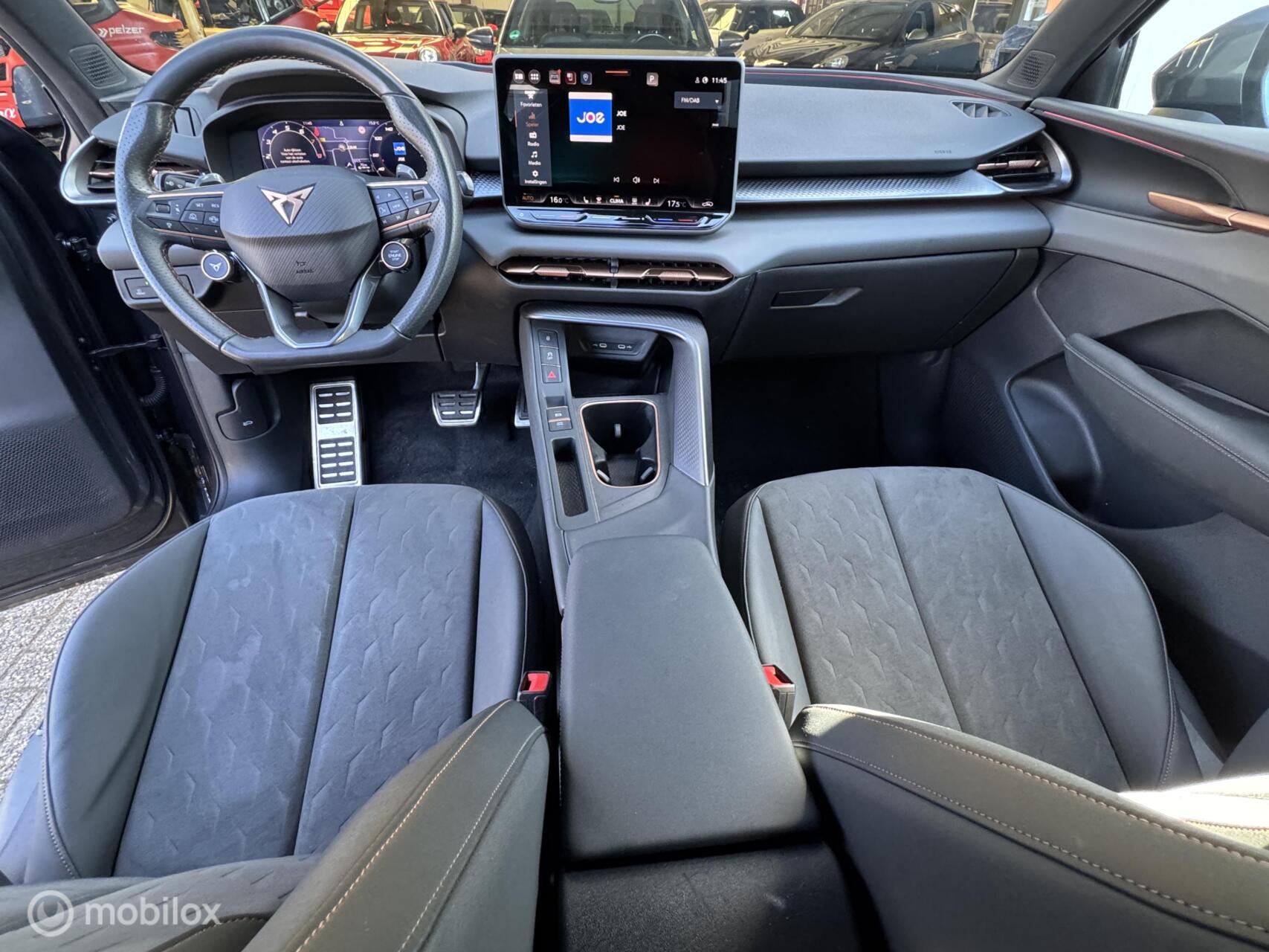 Foto van Cupra Terramar