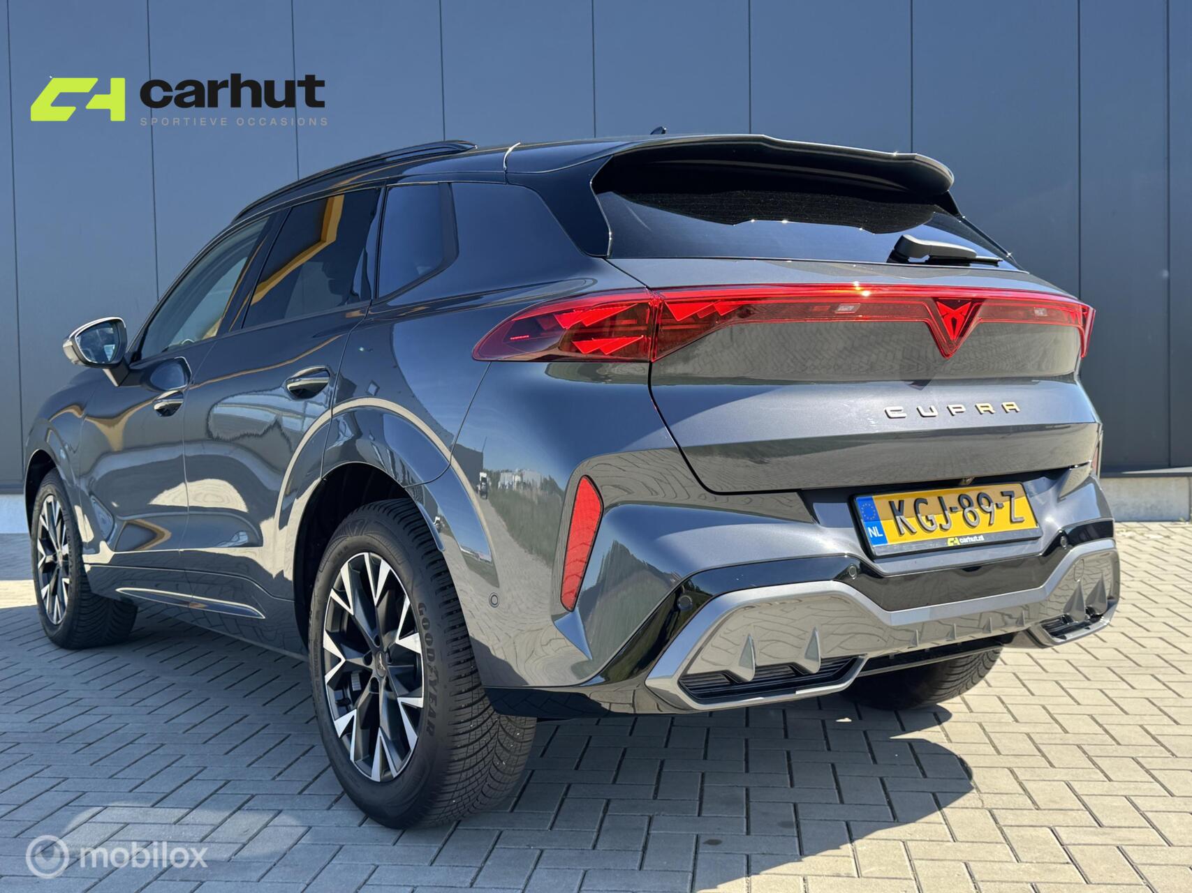 Foto van Cupra Terramar