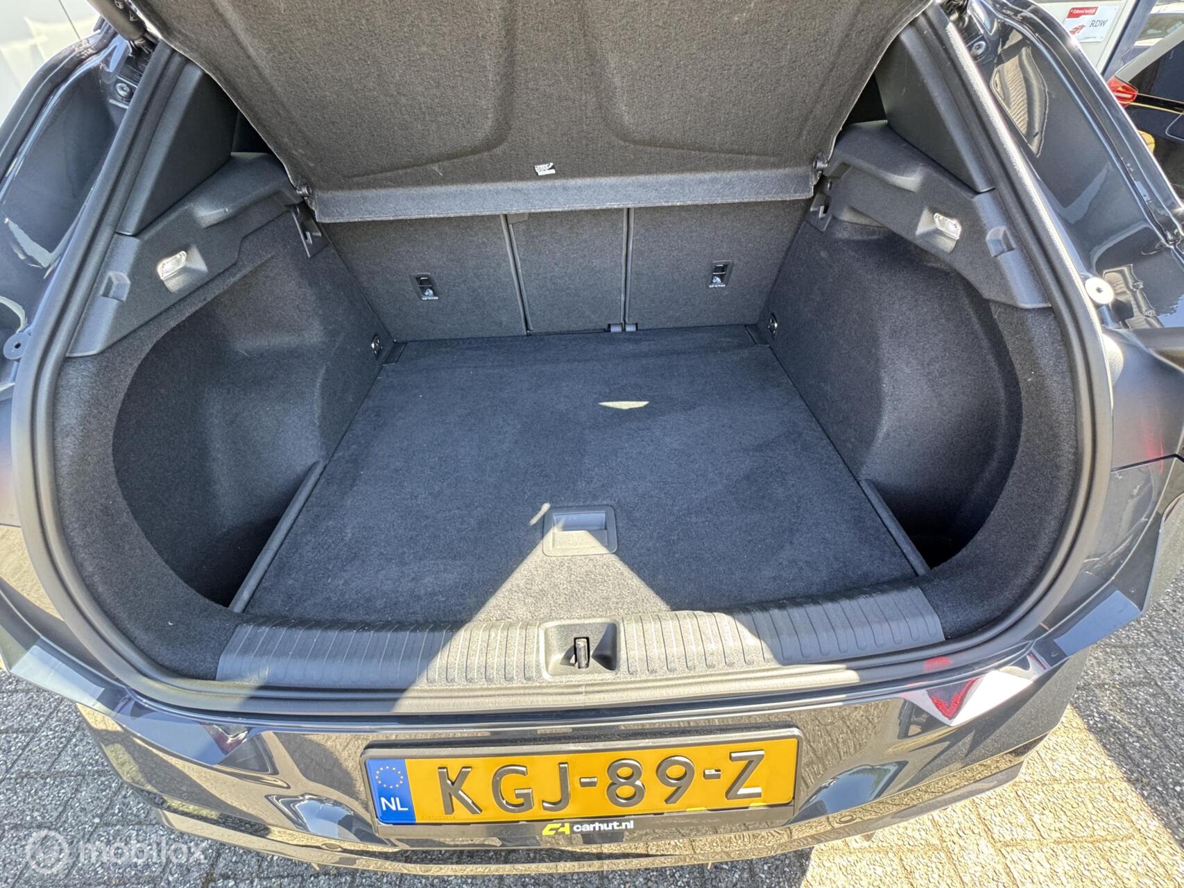 Foto van Cupra Terramar