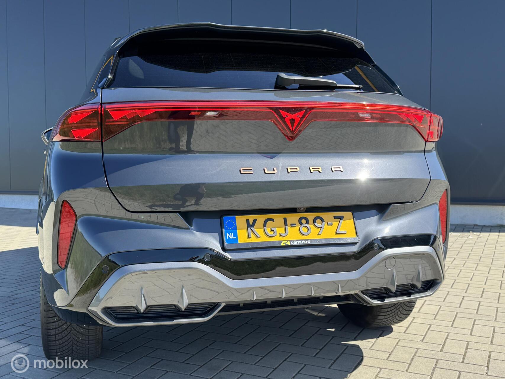 Foto van Cupra Terramar