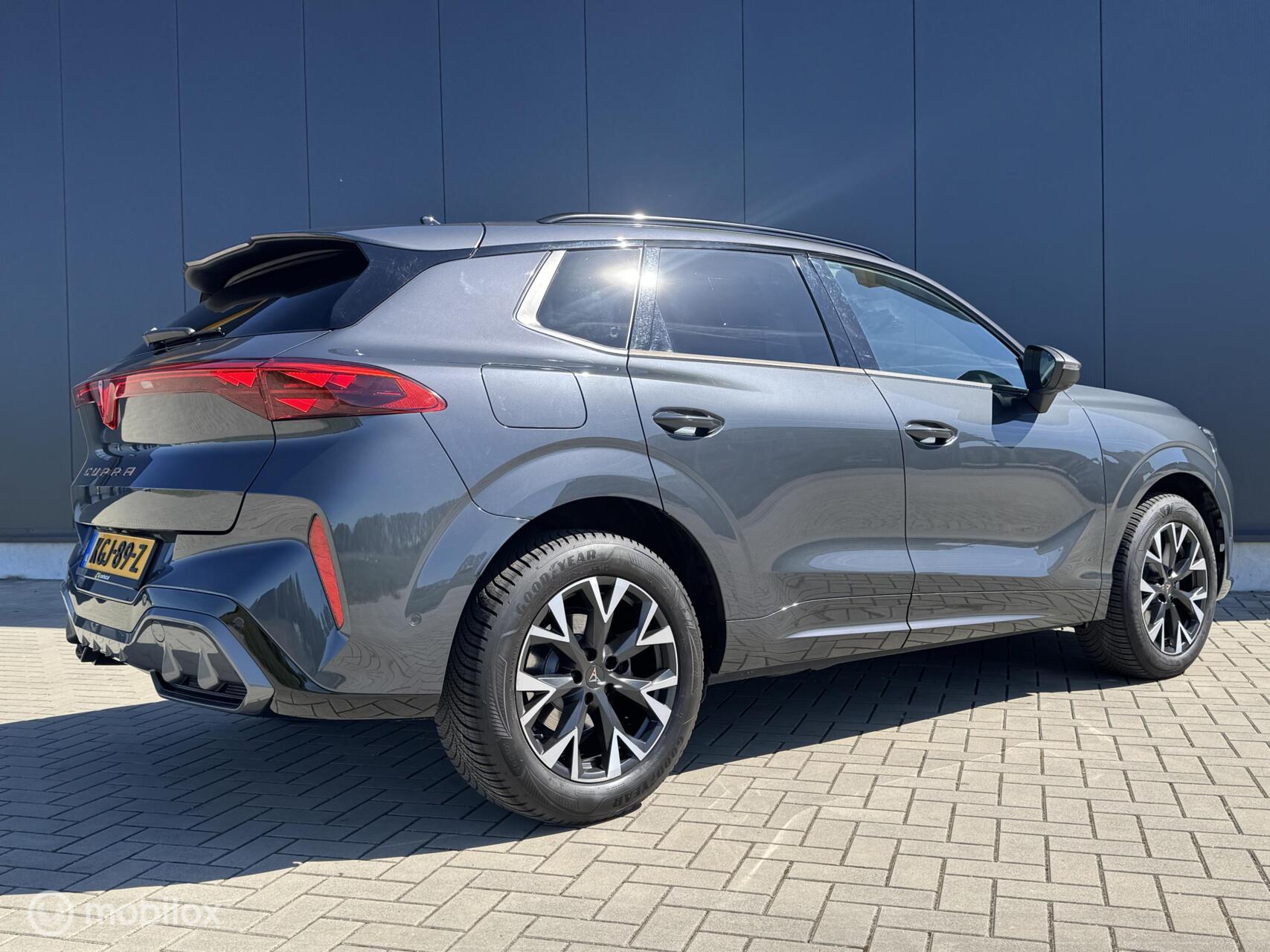 Foto van Cupra Terramar