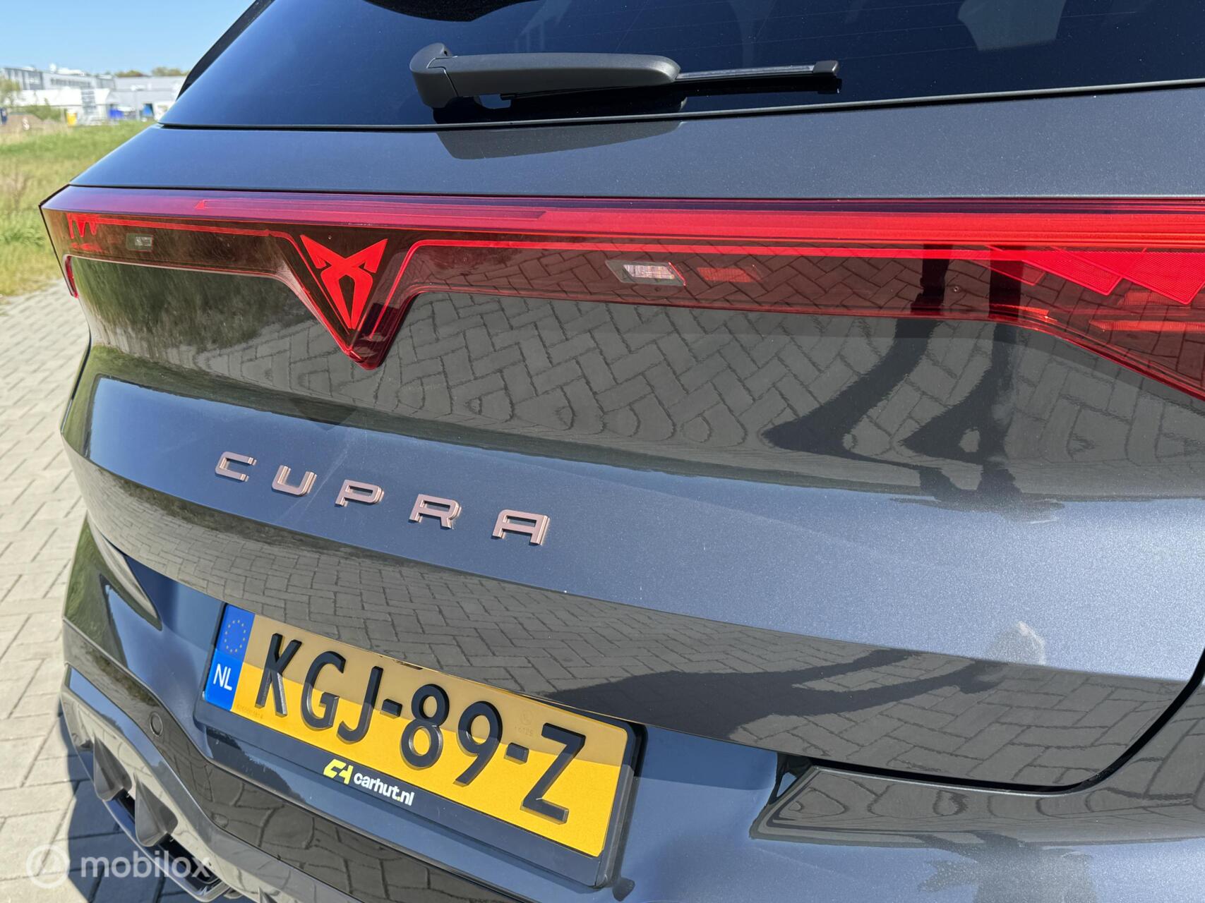 Foto van Cupra Terramar