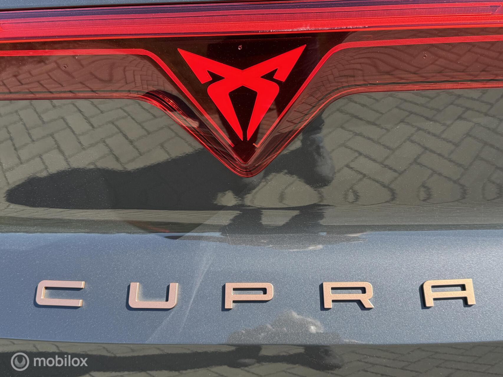 Foto van Cupra Terramar