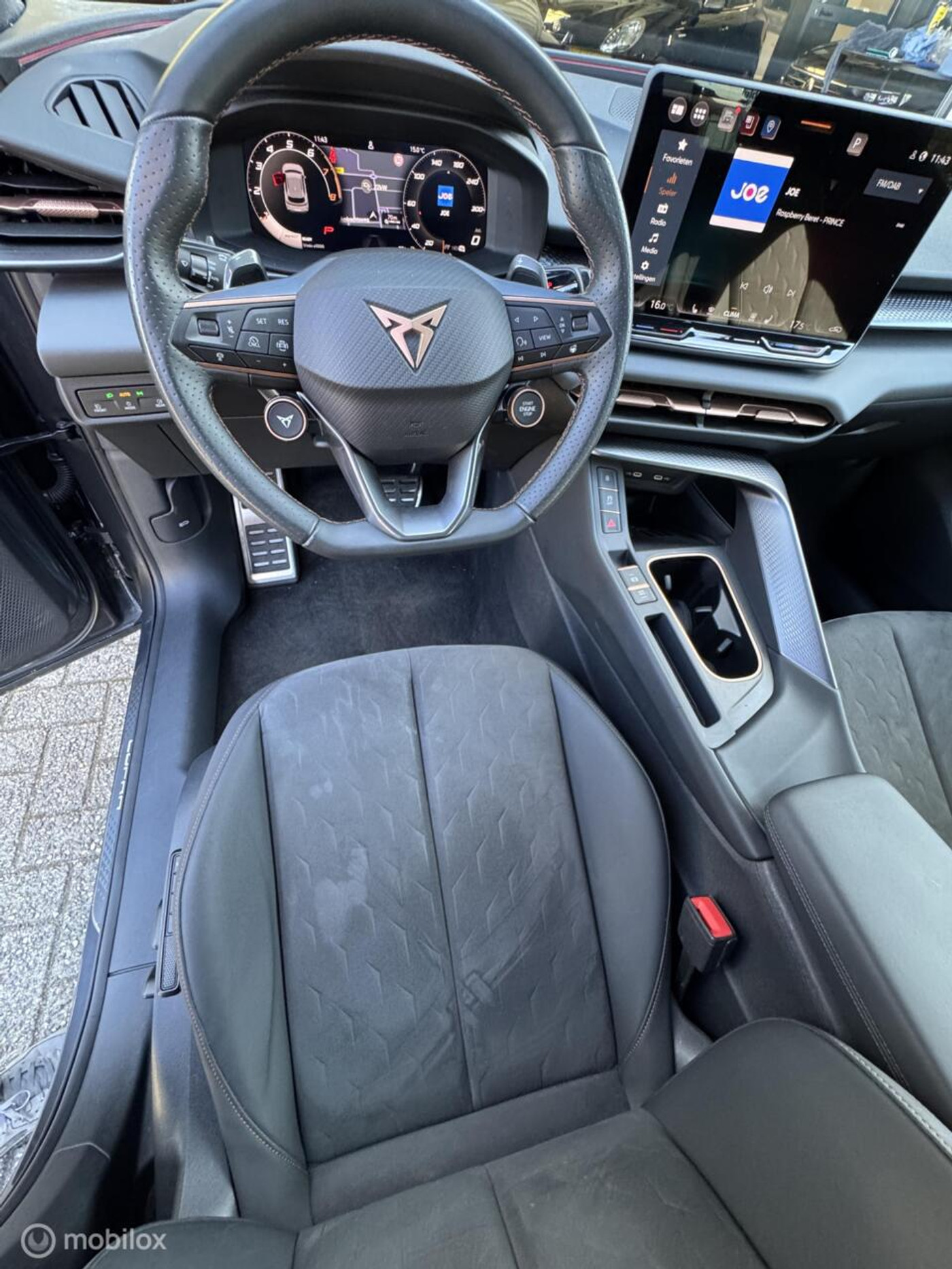 Foto van Cupra Terramar