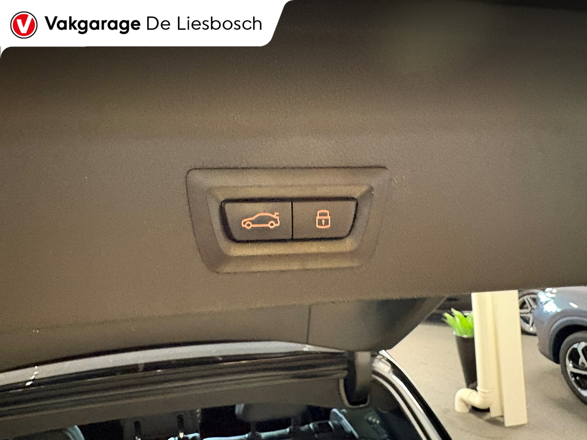 Foto van BMW X3 Xdrive30e