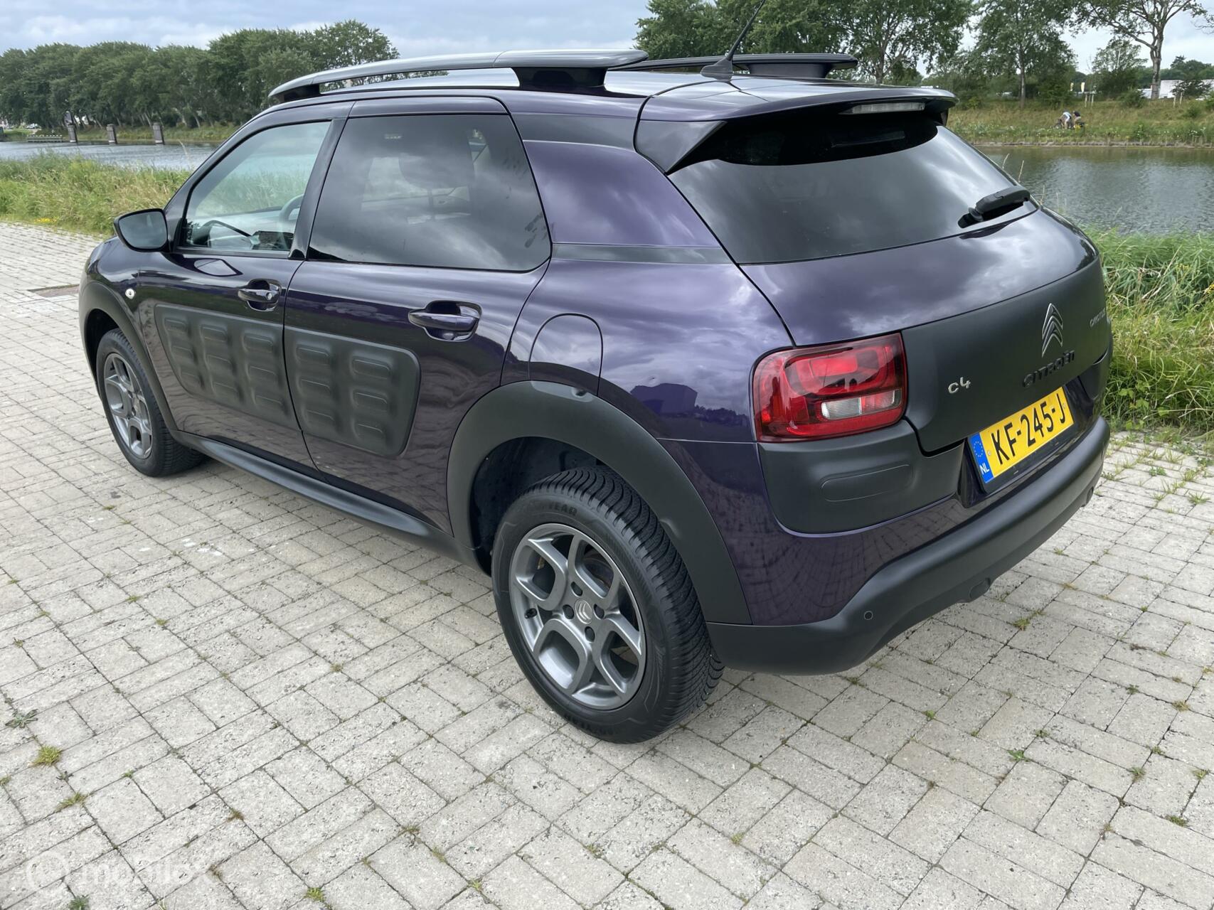 Foto van Citroen C4 Cactus